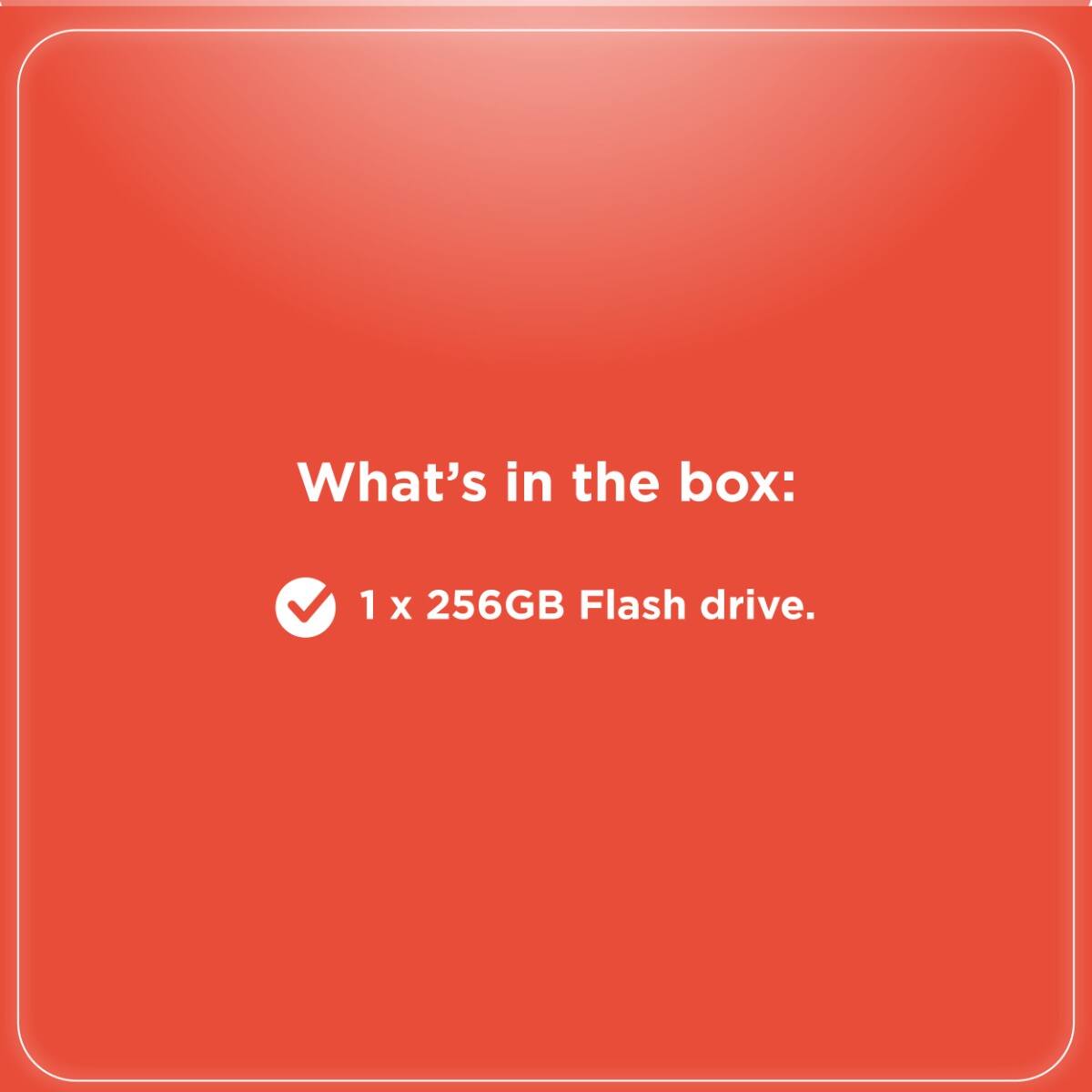 What's in the box:  
1 x 256GB Flash drive.