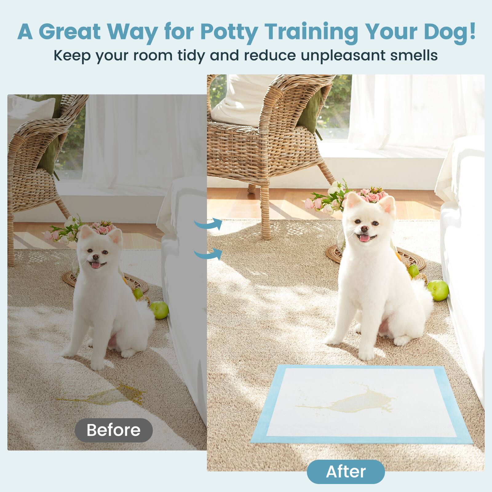 A Great Way for Potty Training Your Dog!  
Keep your room tidy and reduce unpleasant smells  

Before  
After