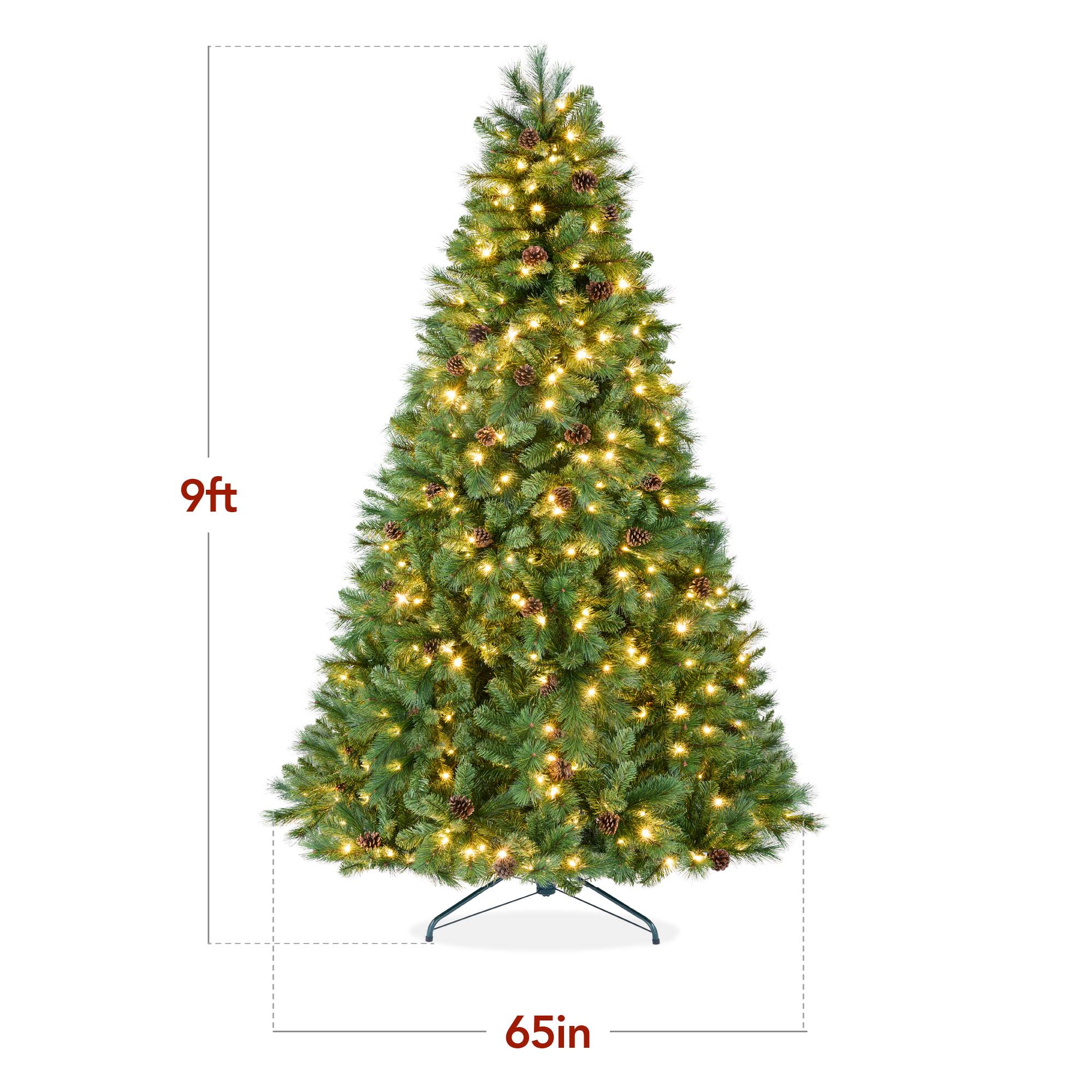 9ft 65in