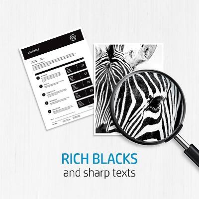 RICH BLACKS and sharp texts
