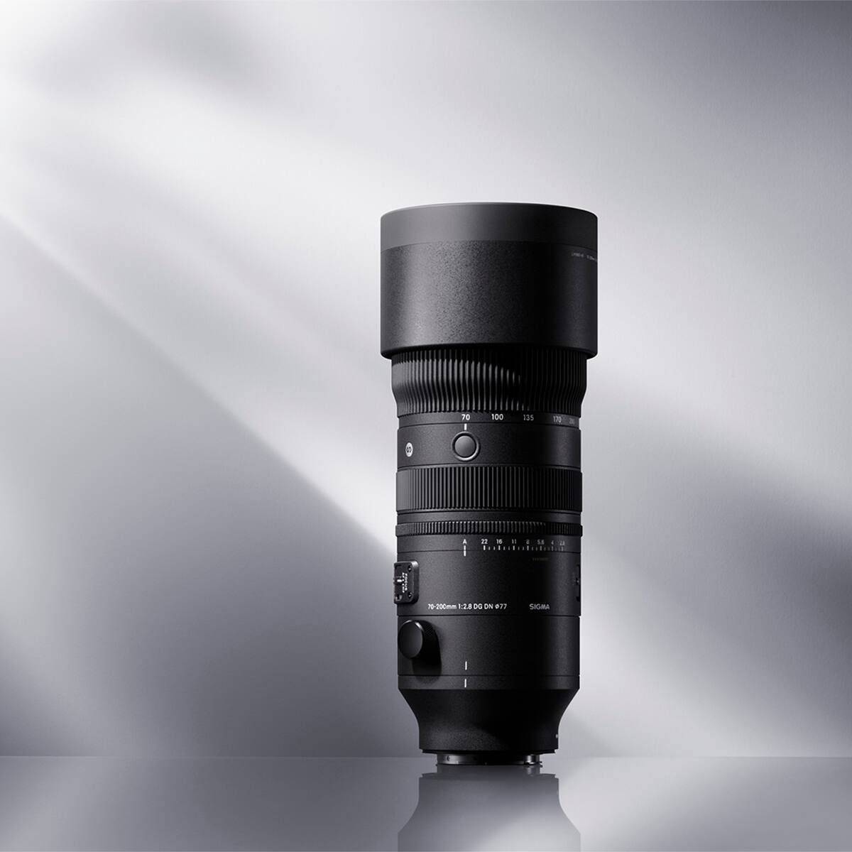 70
100
135
17g
Jet
A 22 16 11 8 5.6 4
70 200mm 1:2.8 DG DN #77
SIGMA