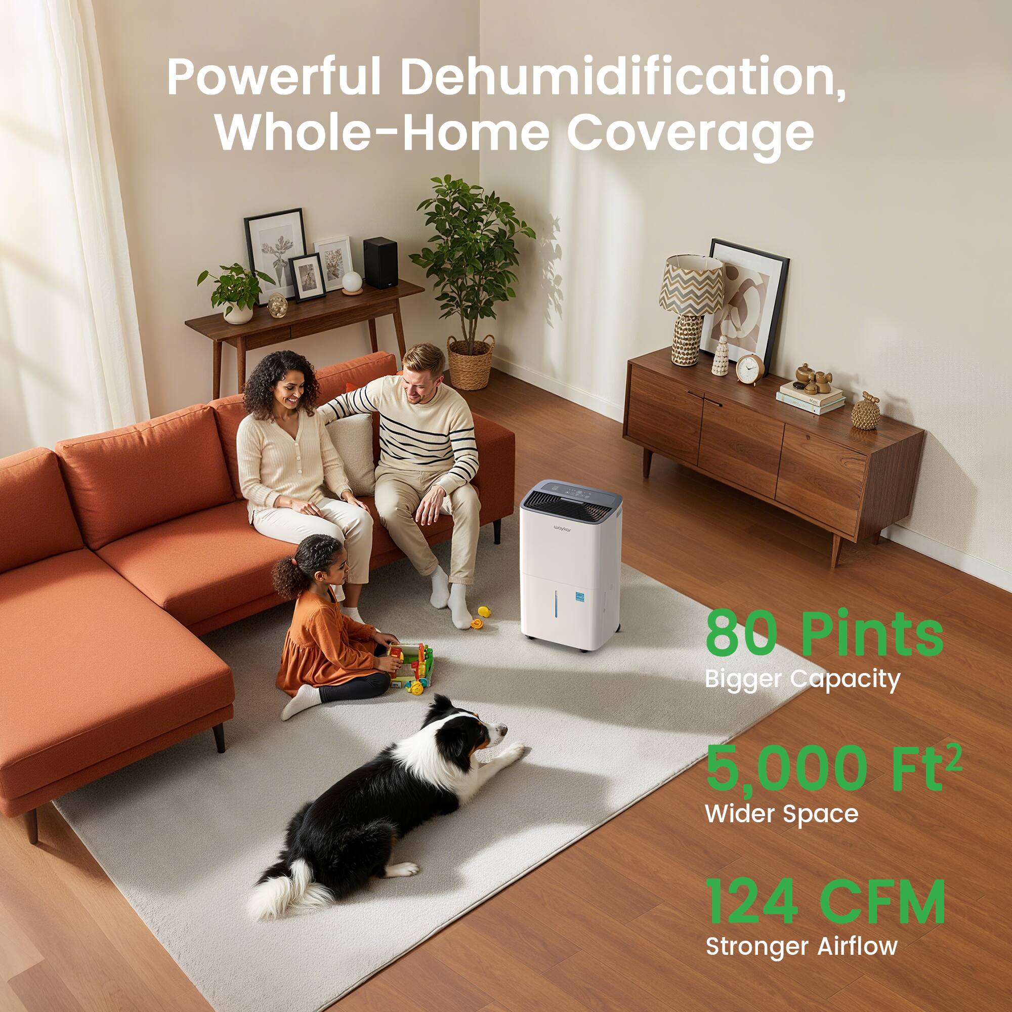 Powerful Dehumidification, Whole-Home Coverage  
80 Pints Bigger Capacity  
5,000 Ft² Wider Space  
124 CFM Stronger Airflow