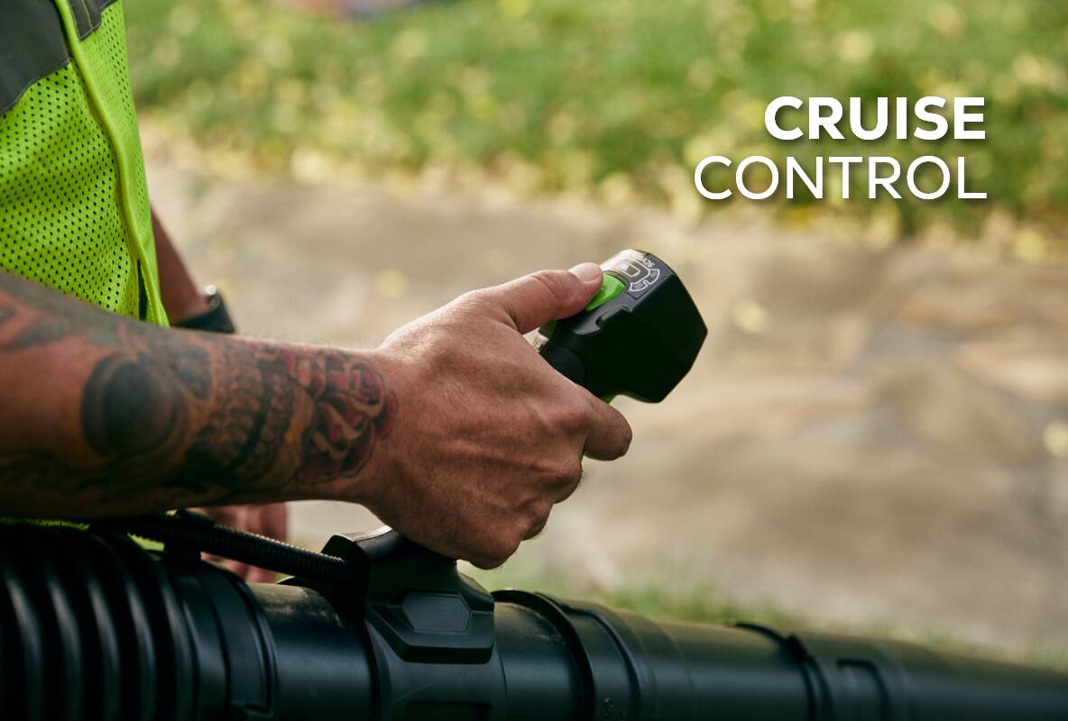 CRUISE CONTROL