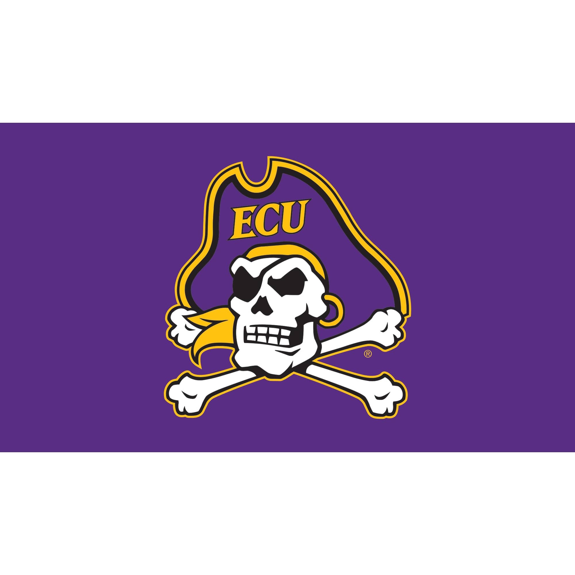 Evergreen Enterprises - ECU Pirates 28" x 16" Turf Mat - Multicolor