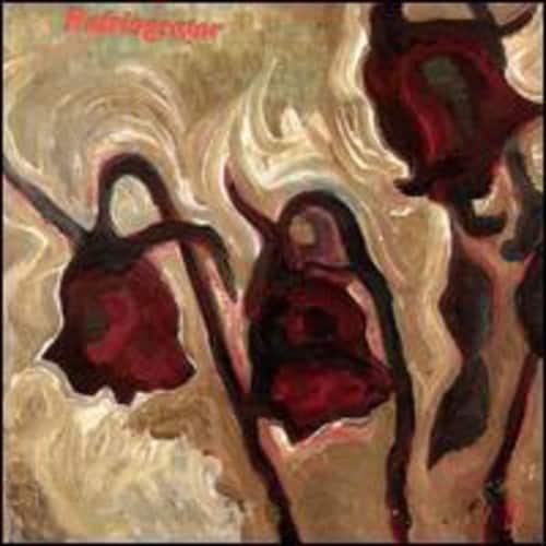 Refrigerator - Refrigerator  - COMPACT DISCS