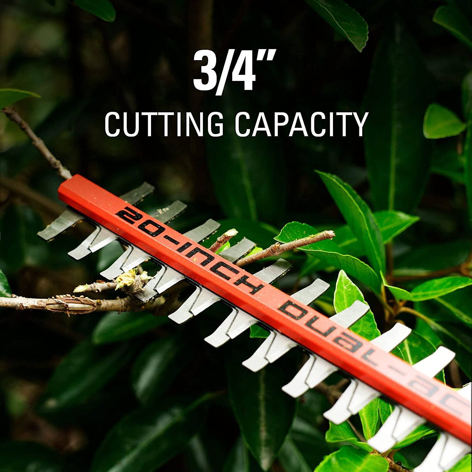 3/4" CUTTING CAPACITY  
20-INCH DUAL
