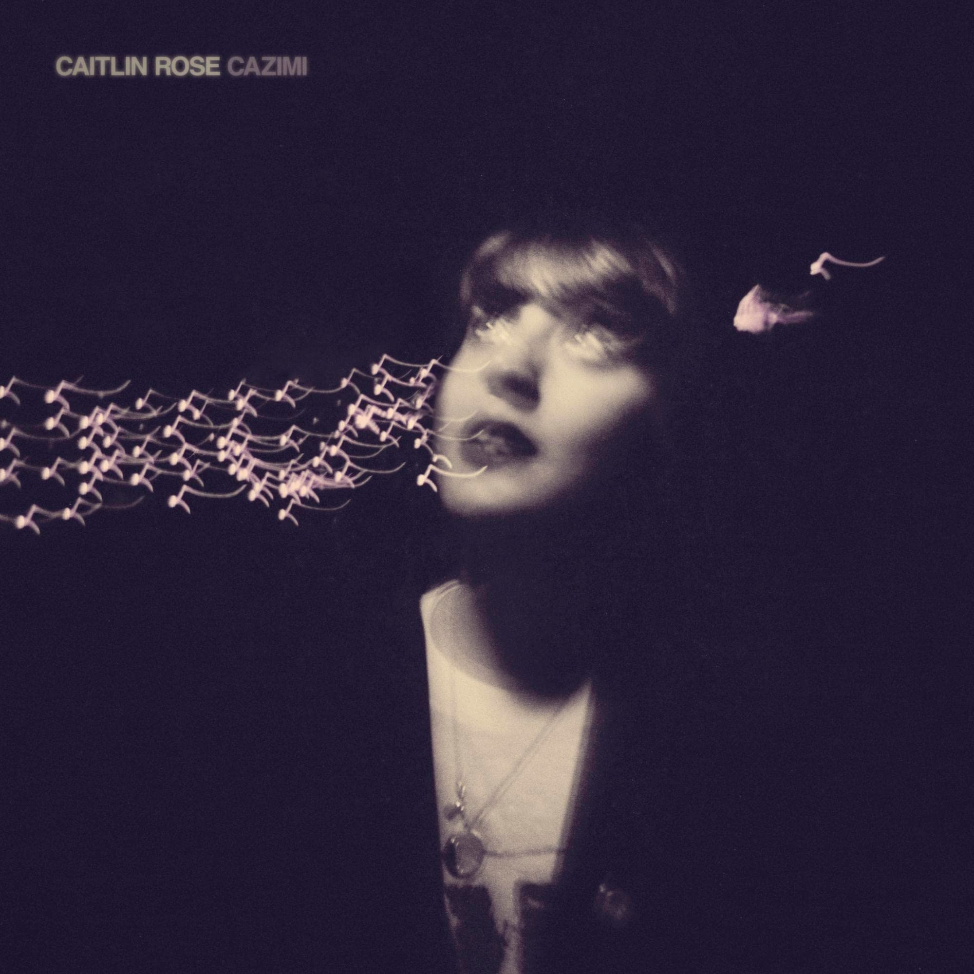 Cazimi [LP] [VINYL] price history on PriceWatchPro