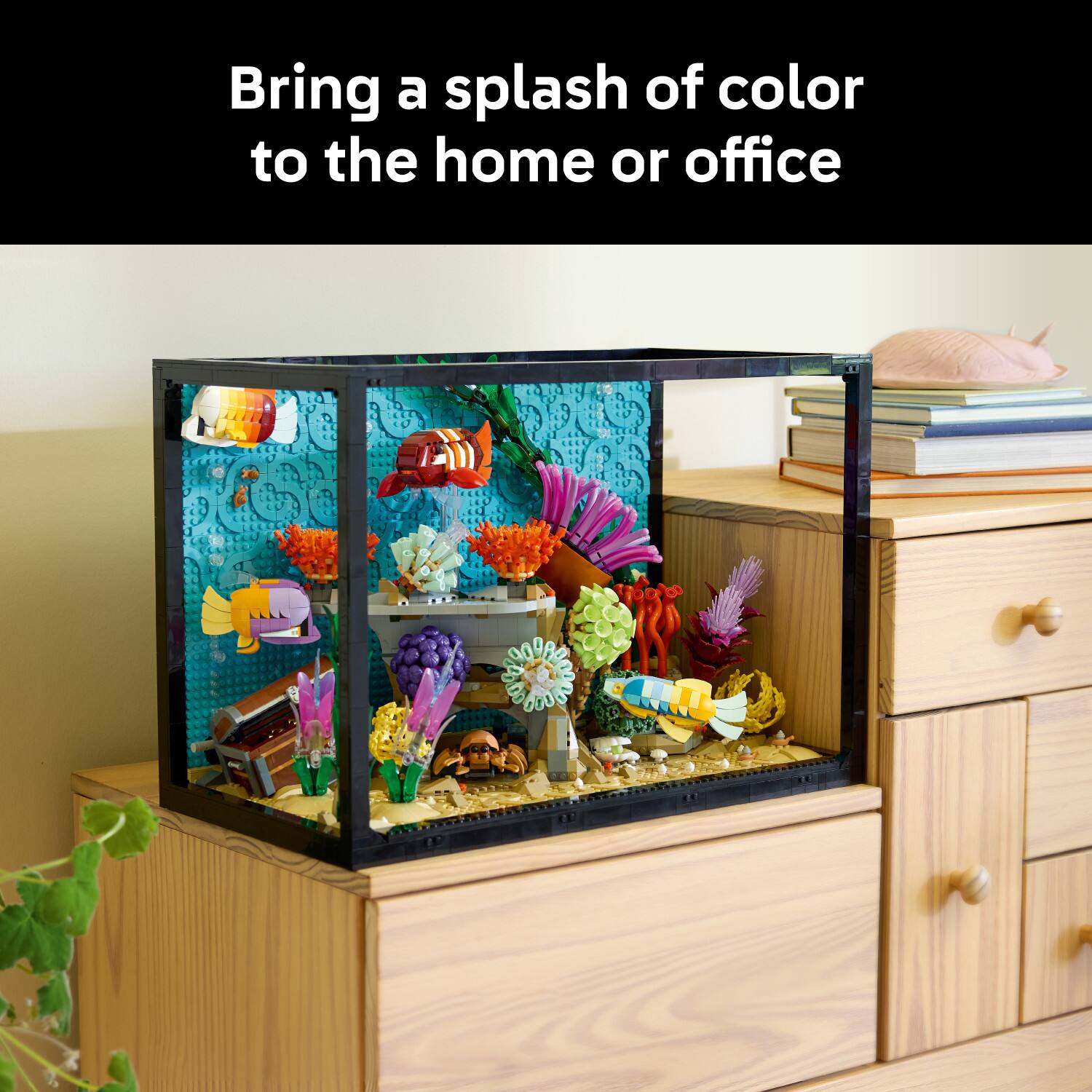 Bring a splash of color to the home or office