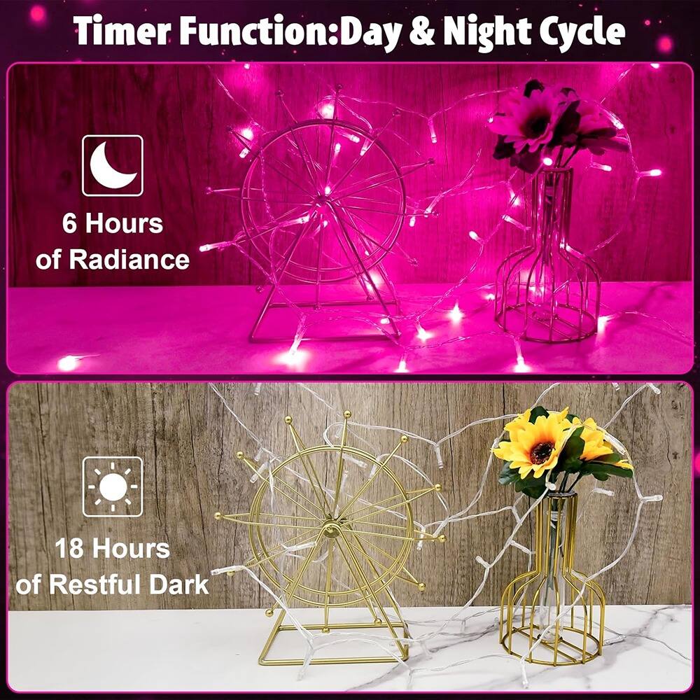Timer Function: Day & Night Cycle

6 Hours of Radiance

18 Hours of Restful Dark