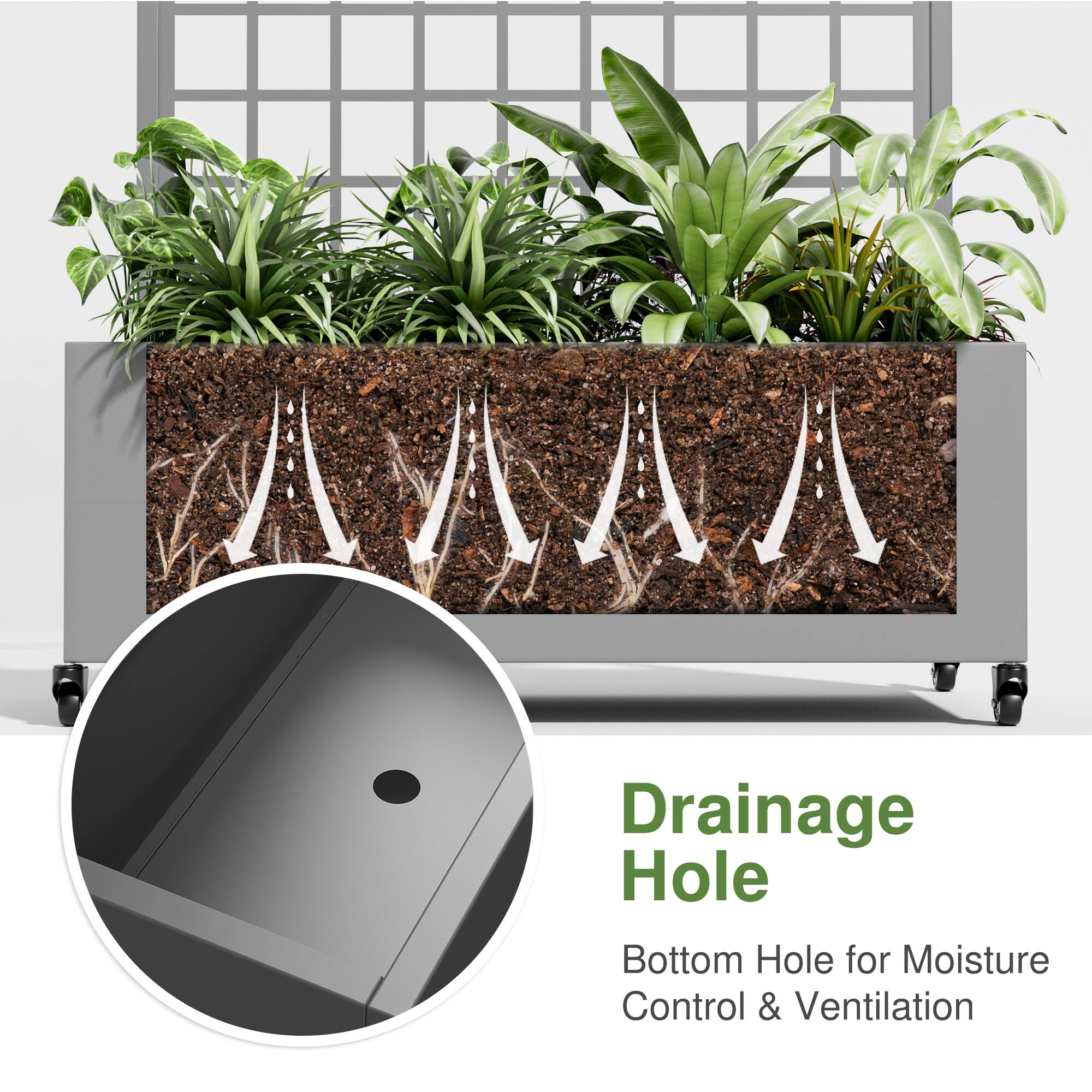 Drainage Hole

Bottom Hole for Moisture Control & Ventilation