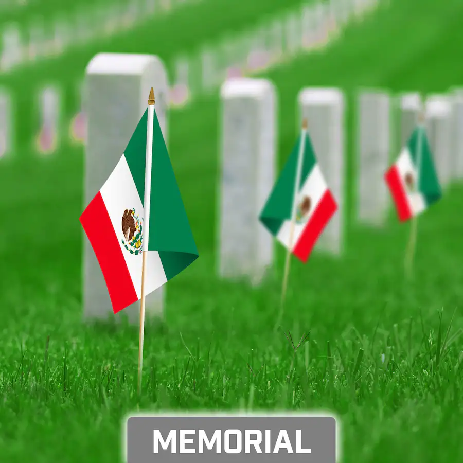 Activity Design Sk Format G128 50 Pack Handheld Mexico Flags, 8 x 12 in, 150D Polyester with ...