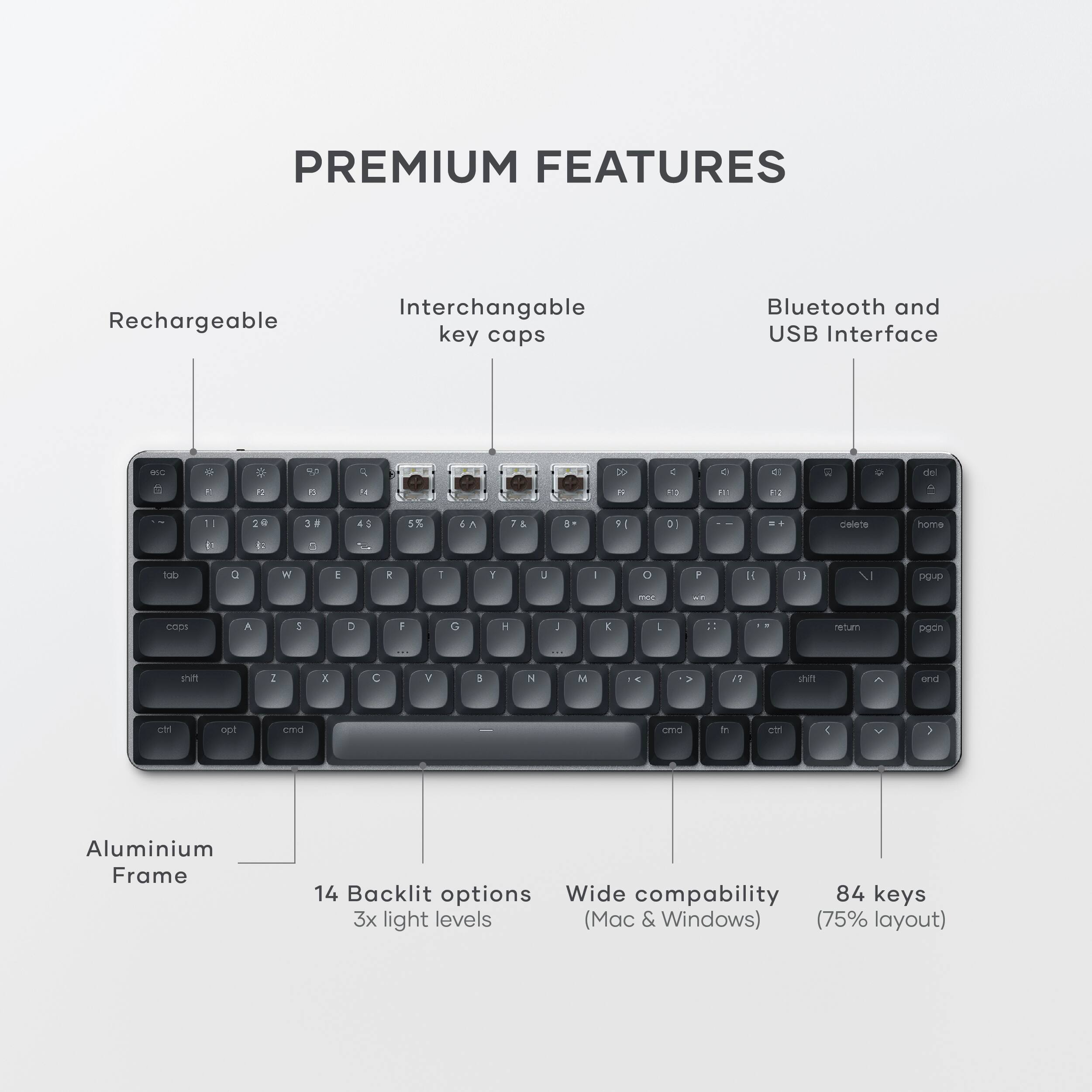PREMIUM FEATURES

- Rechargeable
- Interchangeable key caps
- Bluetooth and USB Interface
- Aluminium Frame
- 14 Backlit options
- 3x light levels
- Wide compatibility (Mac & Windows)
- 84 keys (75% layout)