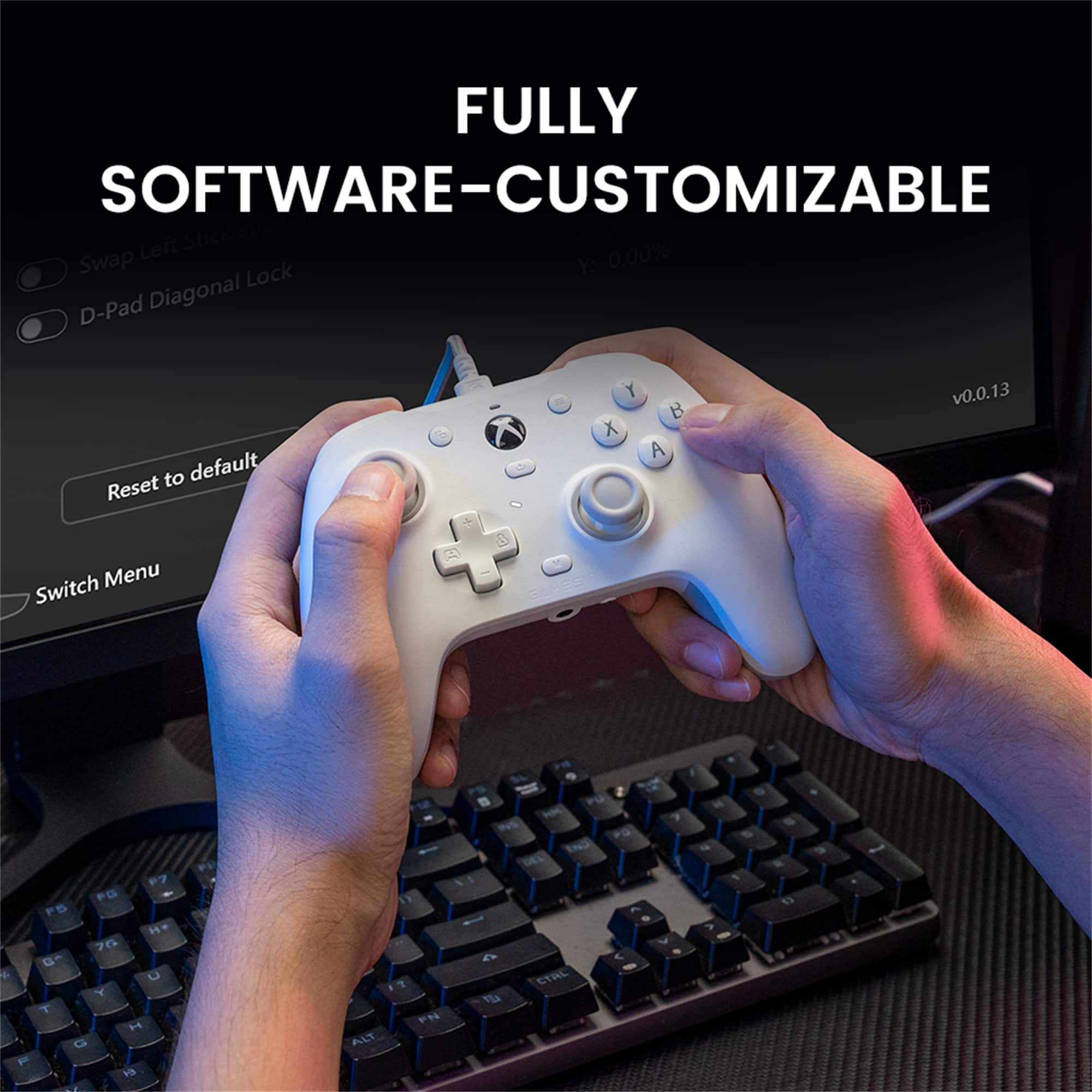 The text on the image reads: "FULLY SOFTWARE-CUSTOMIZABLE Left Stick Swap Y. 0.00% Lock D-Pad Diagonal to default Reset i O Y B X A v0.0.13 Switch Menu A 8 7 PG P 5 7 G G + Y T H Q es ALT 11 ? P 4 a P PO TNO 30 CTAL 7 1 O W - - 1 1 -".