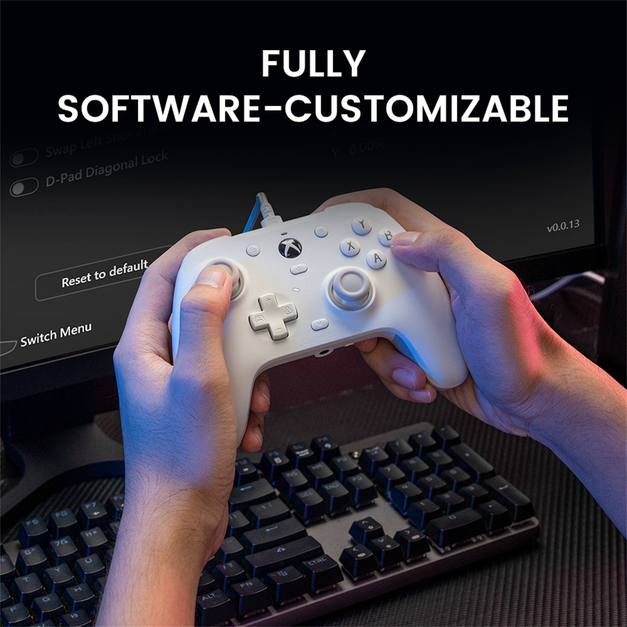 The text on the image reads: "FULLY SOFTWARE-CUSTOMIZABLE Left Stick Swap Y. 0.00% Lock D-Pad Diagonal to default Reset i O Y B X A v0.0.13 Switch Menu A 8 7 PG P 5  7 G G +  Y T H Q  es ALT 11 ? P  4 a P PO TNO 30 CTAL 7 1 O W - - 1 1 -".