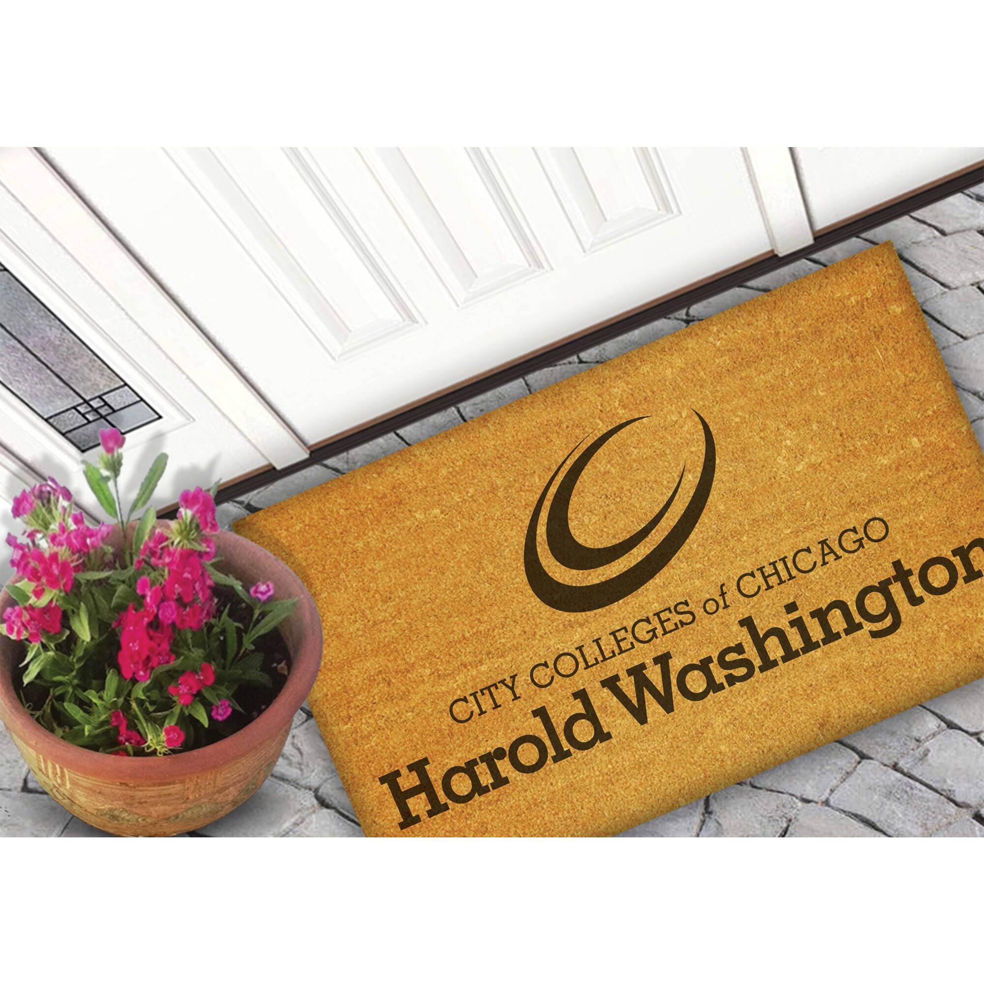 CITY COLLEGES of CHICAGO  
Harold Washington