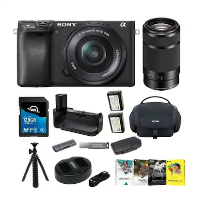 Sony camera, lens, memory cards, batteries, and accessories.