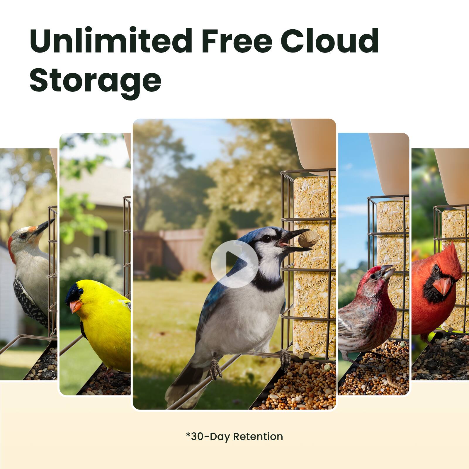 Unlimited Free Cloud Storage

*30-Day Retention