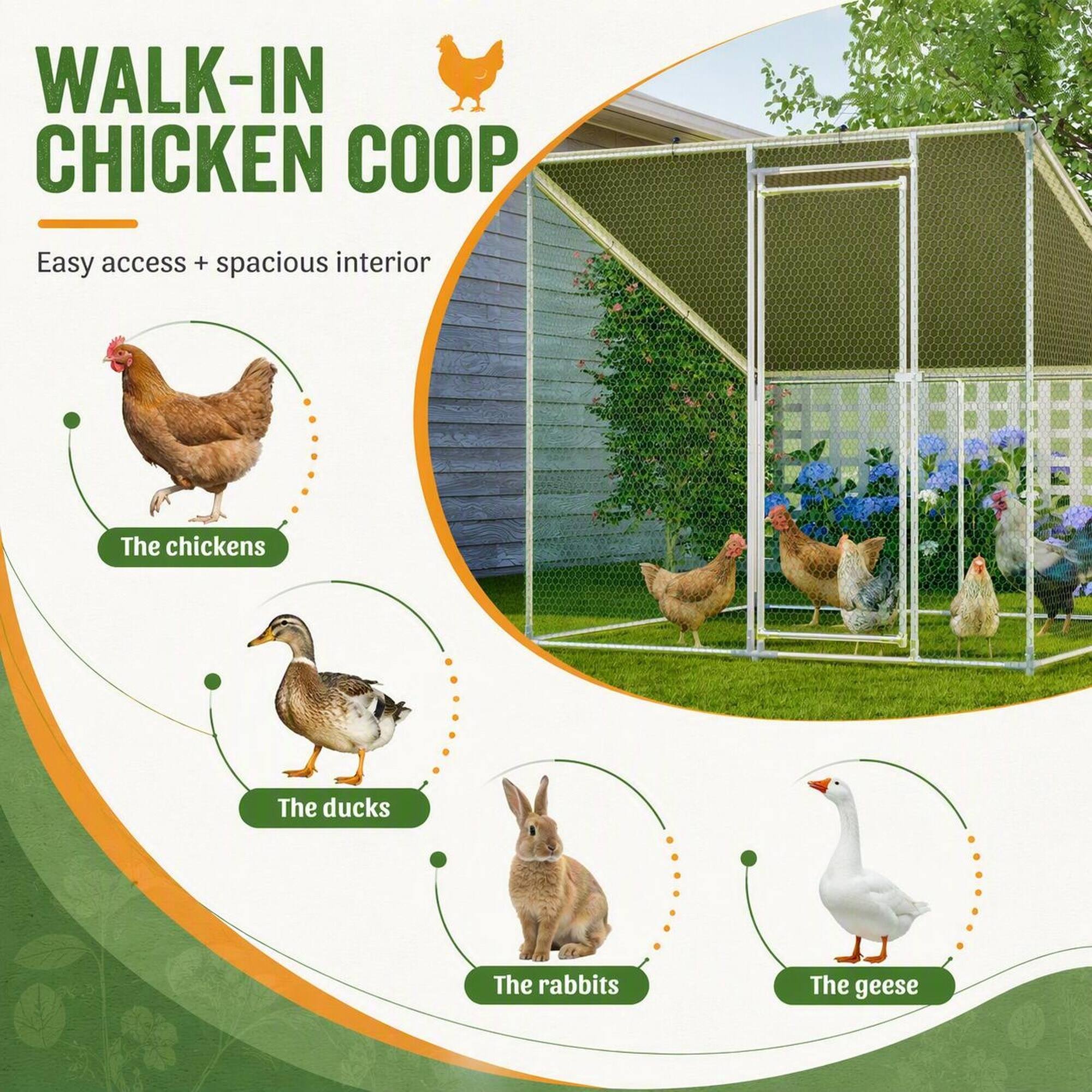WALK-IN CHICKEN COOP  
Easy access + spacious interior  
The chickens  
The ducks  
The rabbits  
The geese