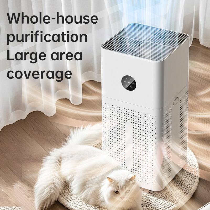 Whole-house purification  
Large area coverage