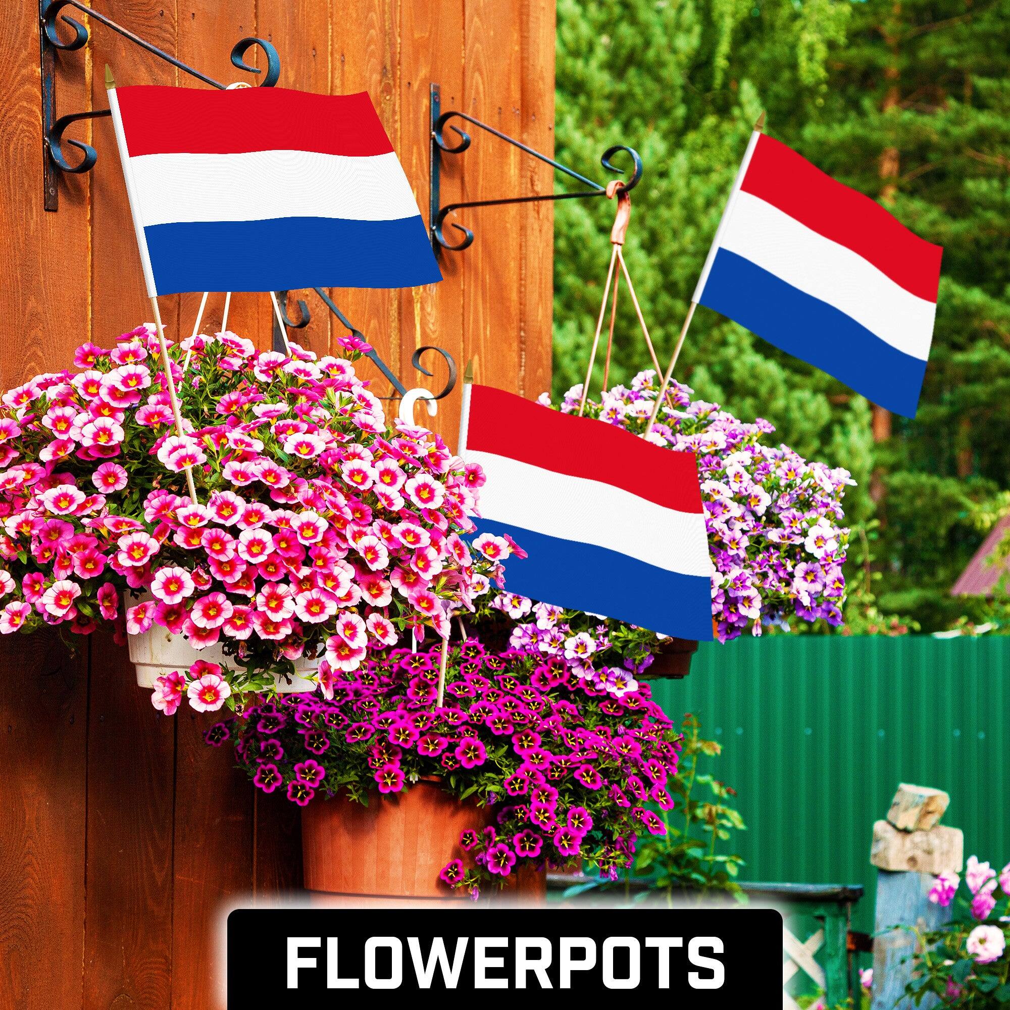 Angle. G128 - 12-Pack Handheld Netherlands Flags 12 x 18 in, 150D Polyester with Wooden Stick and Gold Spear. - Assorted Colors.