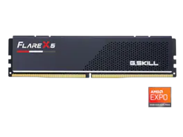 G.SKILL - Flare X5 8GB 288-Pin PC RAM DDR5 6000 (PC5 48000) Desktop Memory Model F5-6000J3038F8GH1-FX5 - Black
