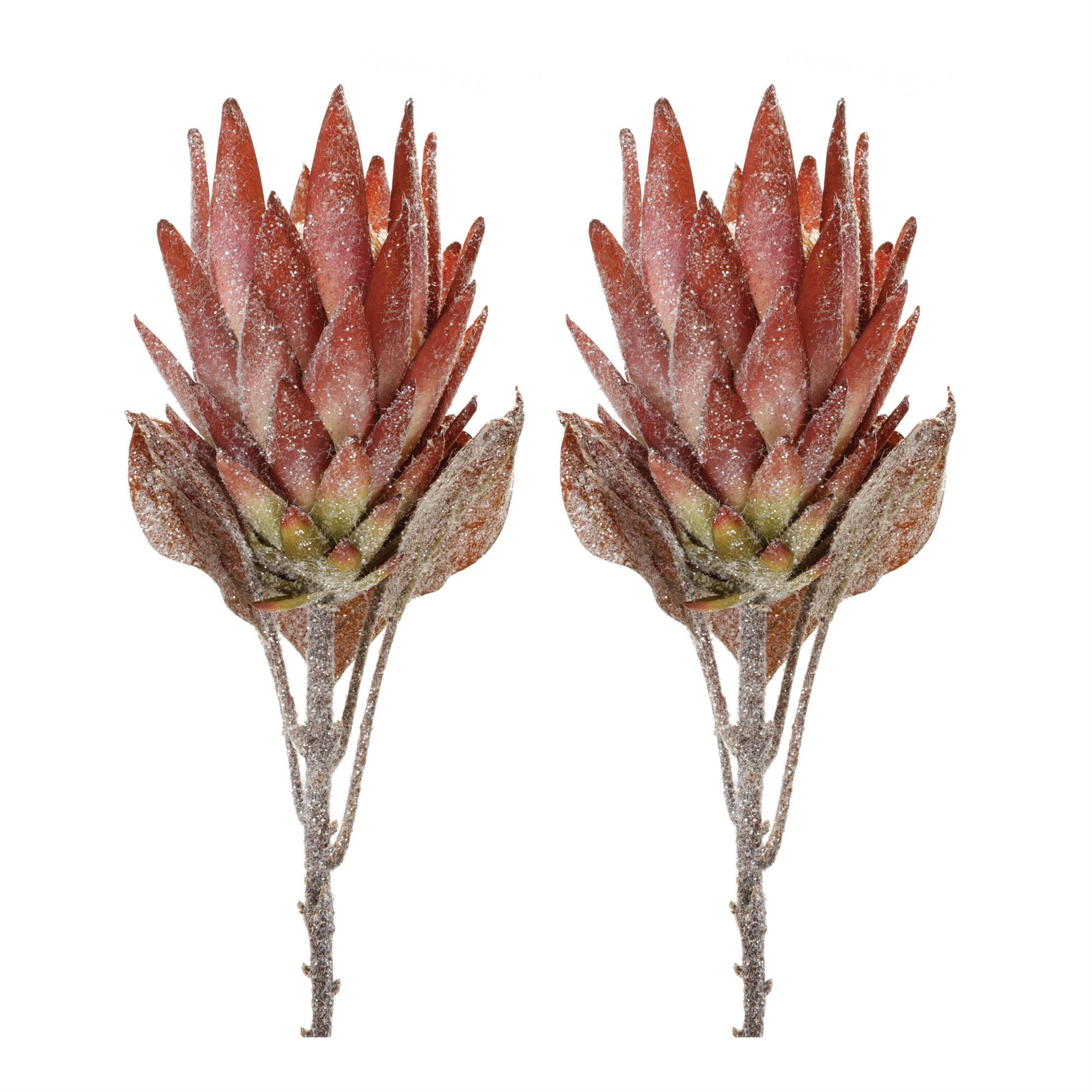 Left. BreeBe - Orange Protea Flower Stem (Set of 2) - Orange, Green.