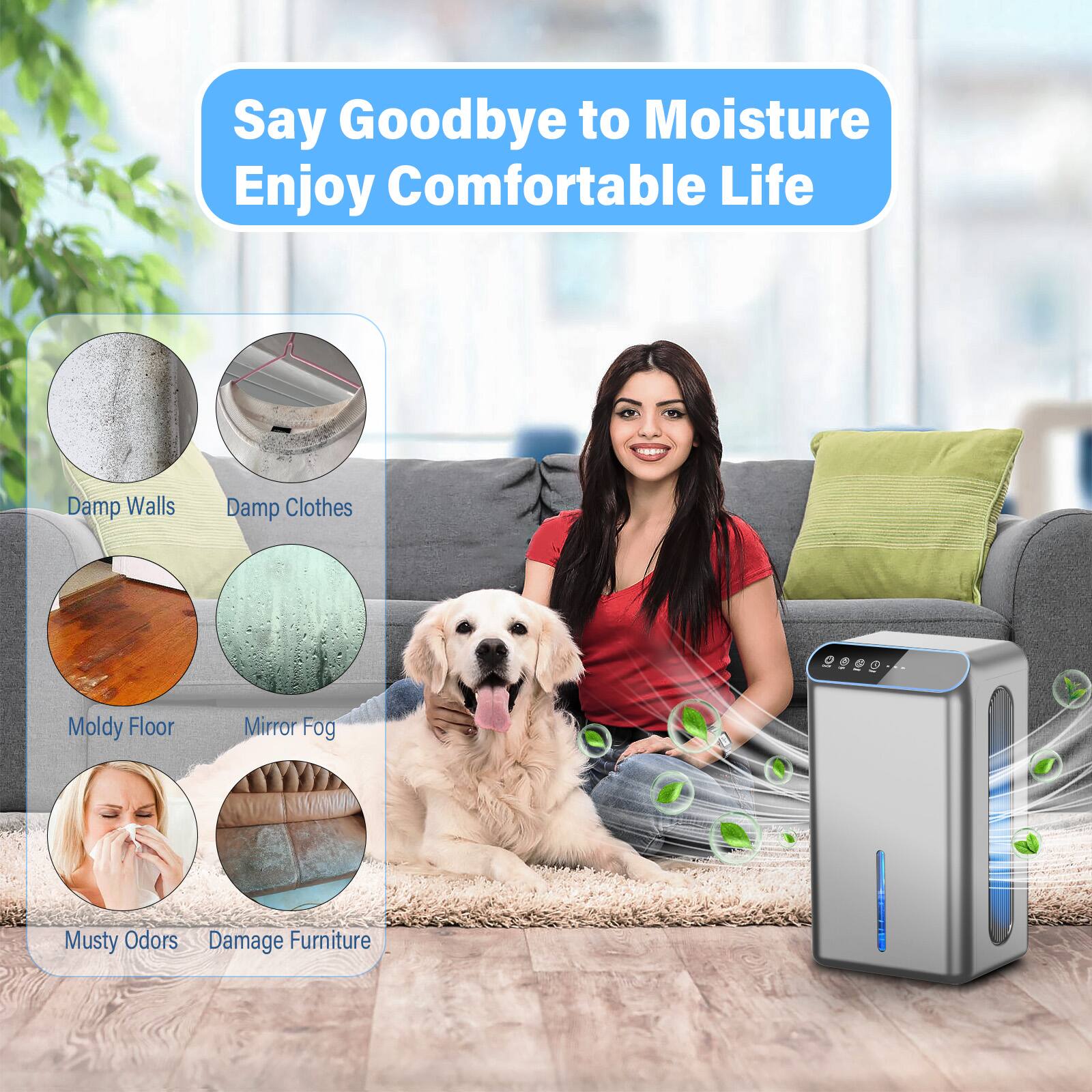 Say Goodbye to Moisture  
Enjoy Comfortable Life  

- Damp Walls  
- Damp Clothes  
- Moldy Floor  
- Mirror Fog  
- Musty Odors  
- Damage Furniture