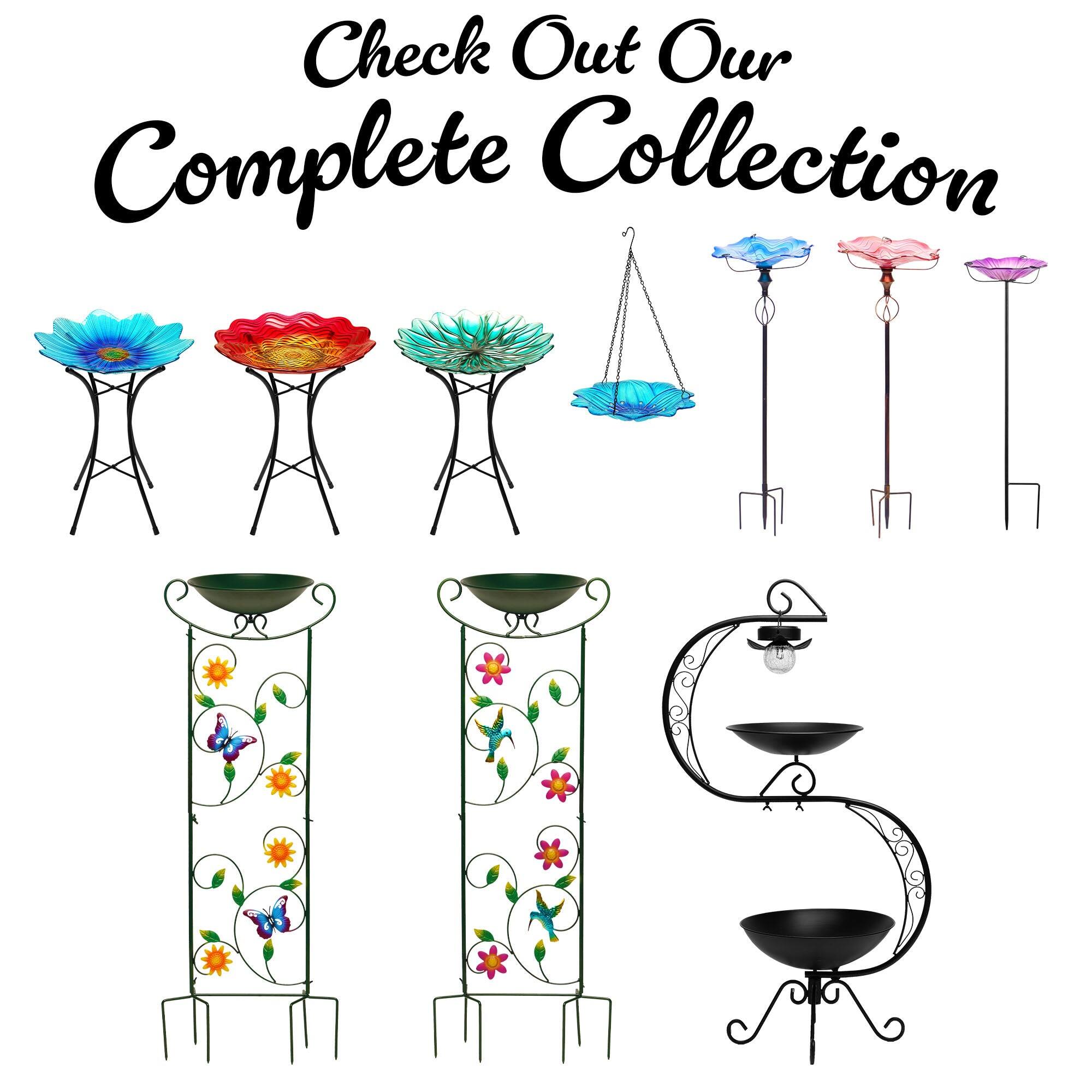 Check Out Our Complete Collection