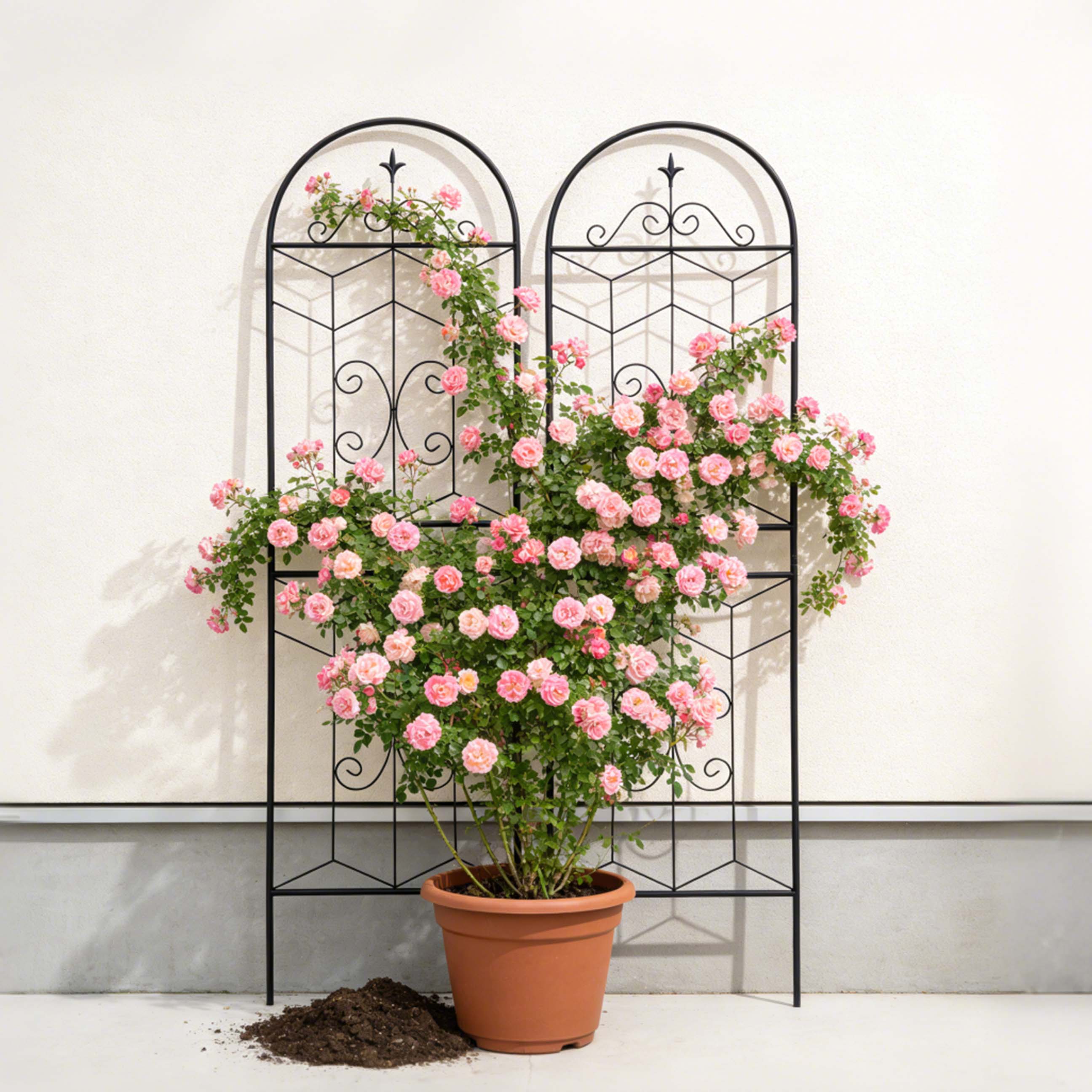 Alt View 1. Loheer - Rustproof Metal Garden Trellis 2 Pack, 5.9 ft x 1.6 ft Climbing Plant Support.