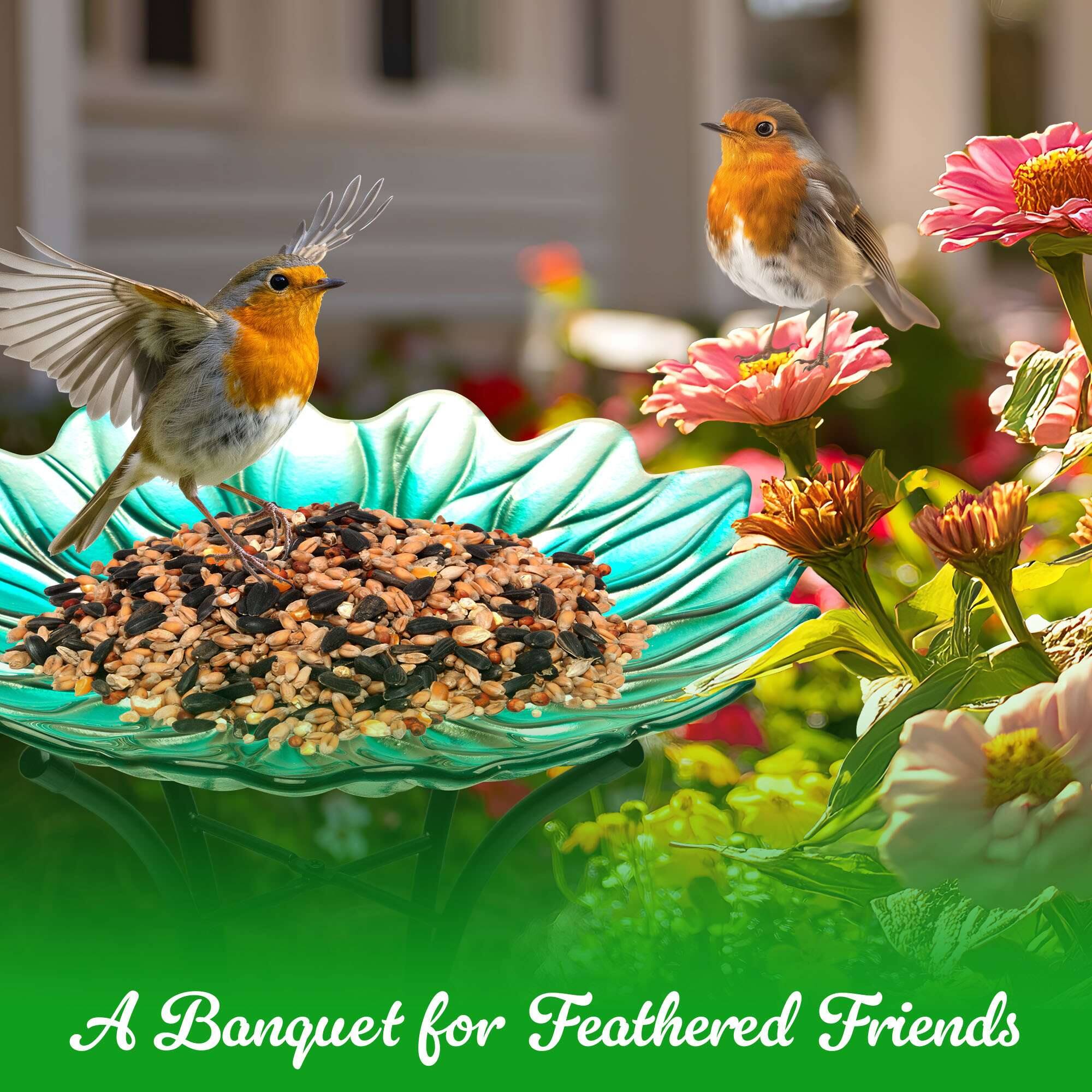 A Banquet for Feathered Friends