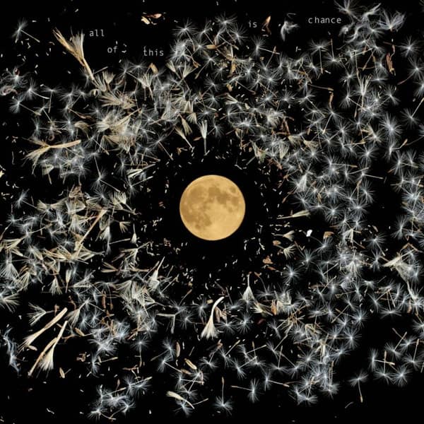 All of This Is Chance [LP] [VINYL]