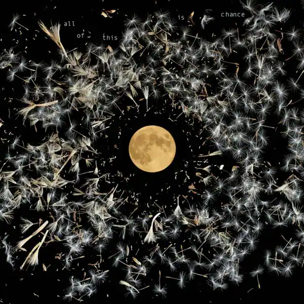 Front. All of This Is Chance [LP].