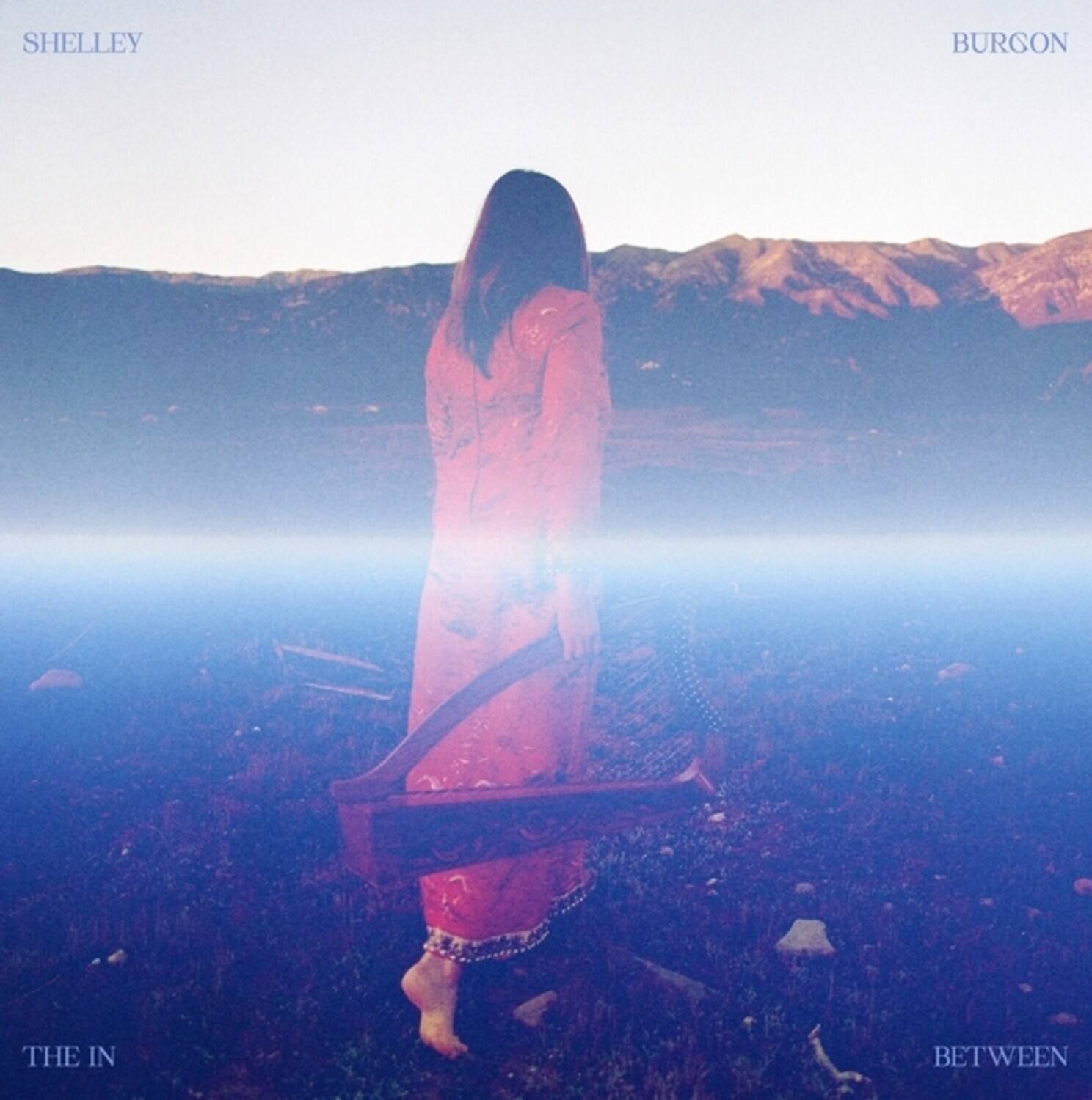 SHELLEY BURGON  
THE IN BETWEEN