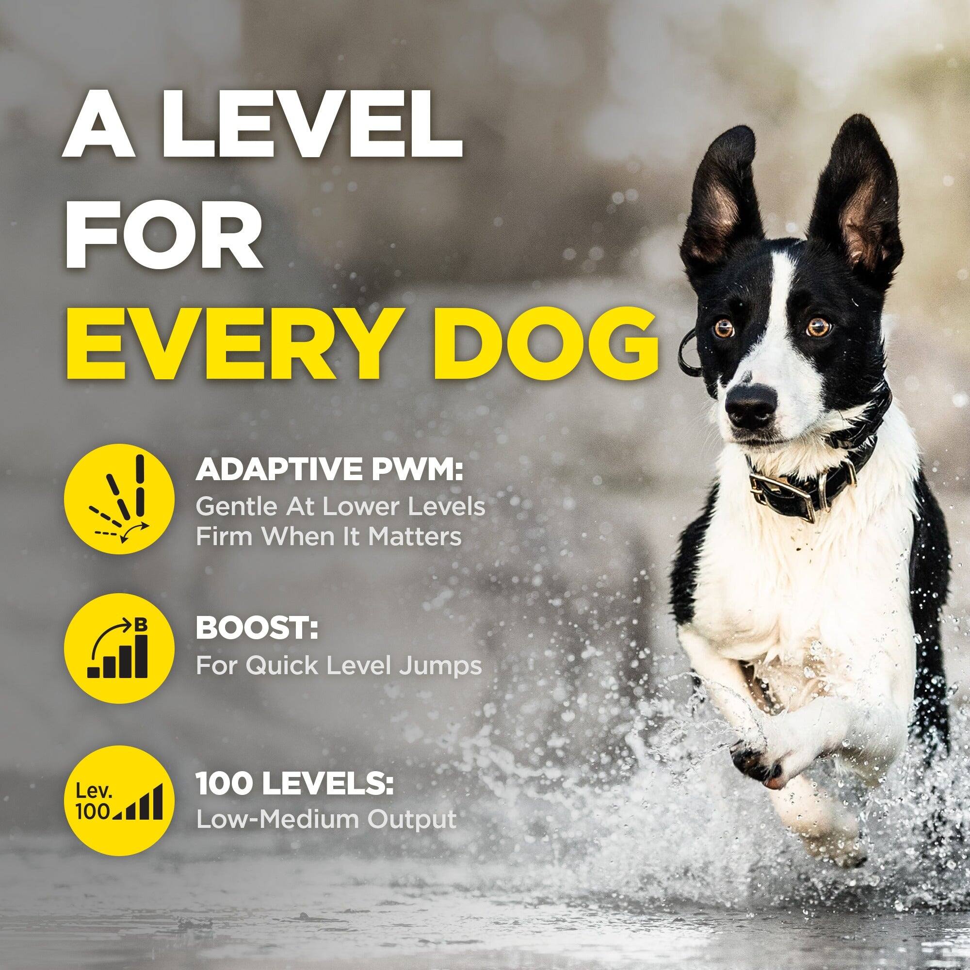 A LEVEL FOR EVERY DOG

ADAPTIVE PWM: Gentle At Lower Levels Firm When It Matters

BOOST: For Quick Level Jumps

100 LEVELS: Low-Medium Output