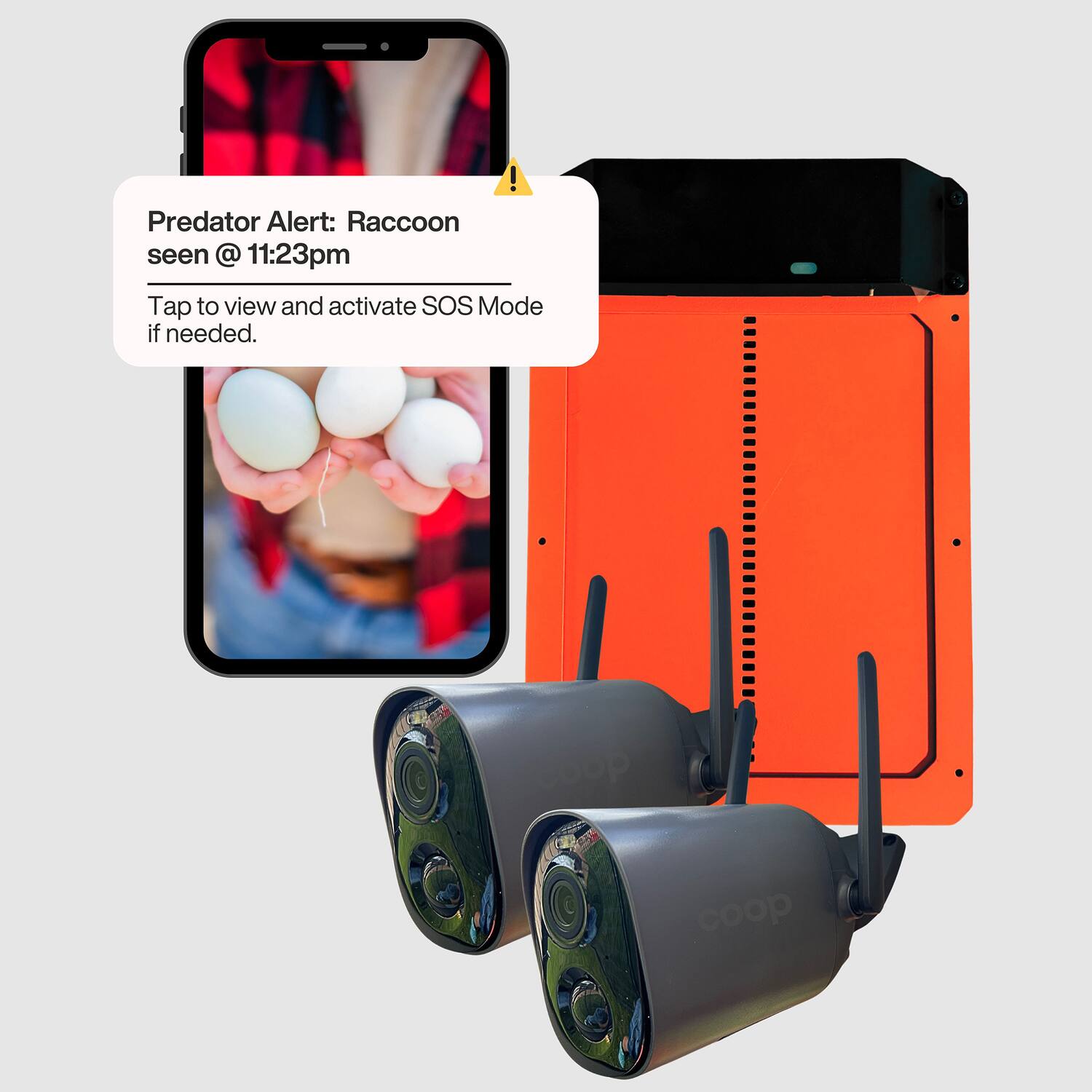 Predator Alert: Raccoon seen @ 11:23pm  
Tap to view and activate SOS Mode if needed.