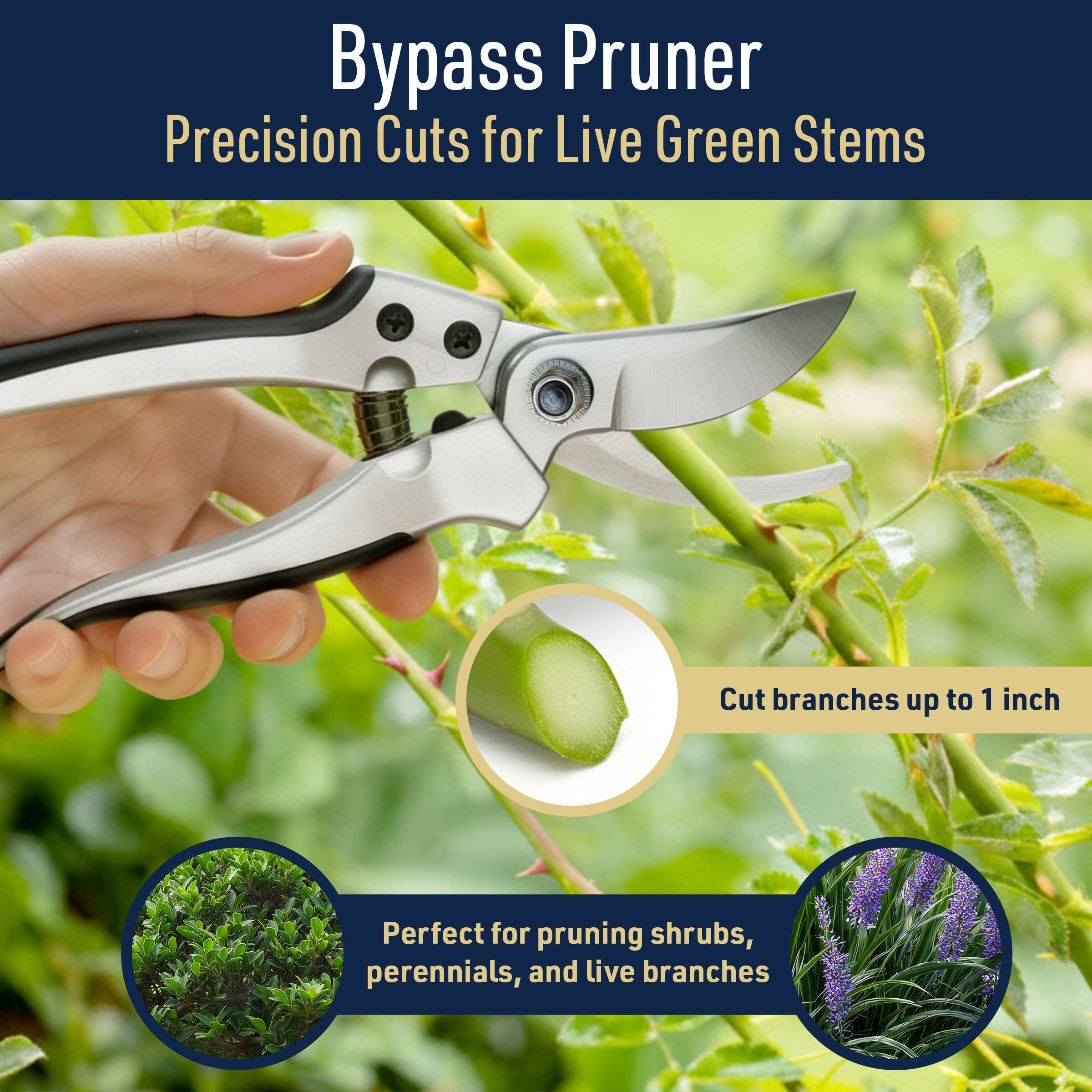 Bypass Pruner  
Precision Cuts for Live Green Stems  

Cut branches up to 1 inch  

Perfect for pruning shrubs, perennials, and live branches