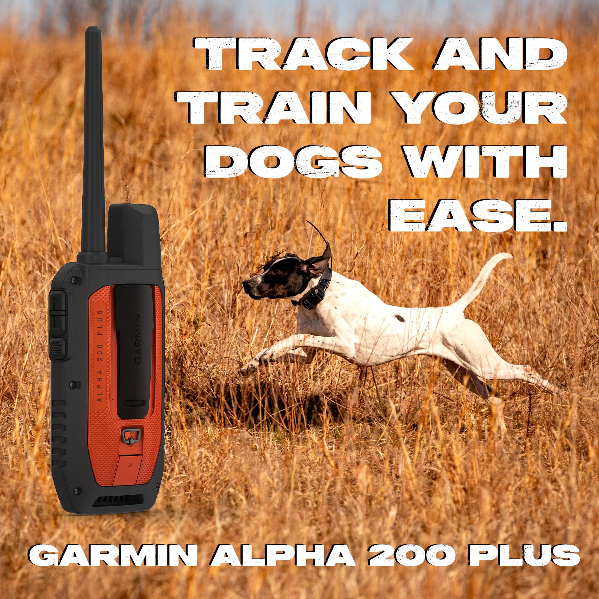 TRACK AND TRAIN YOUR DOGS WITH EASE.

GARMIN ALPHA 200 PLUS