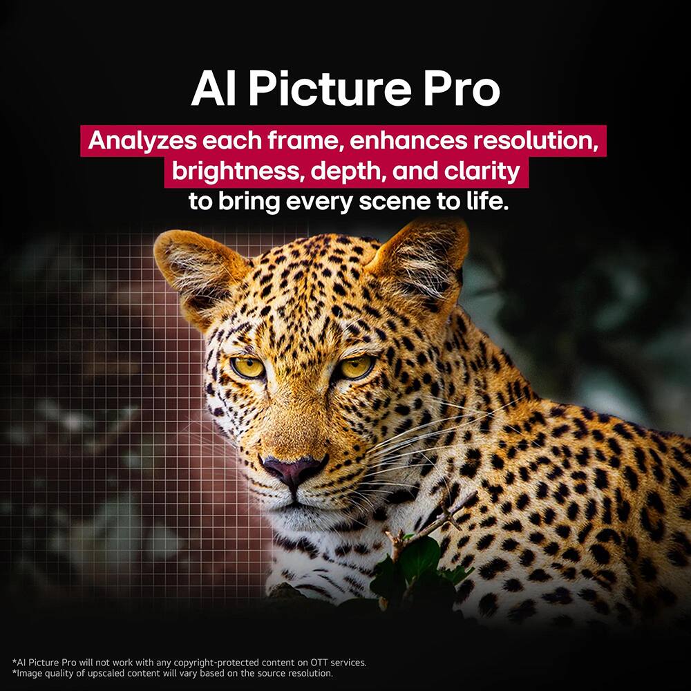AI Picture Pro  
Analyzes each frame, enhances resolution, brightness, depth, and clarity to bring every scene to life.  
*AI Picture Pro will not work with any copyright-protected content on OTT services.  
*Image quality of upscaled content will vary based on the source resolution.