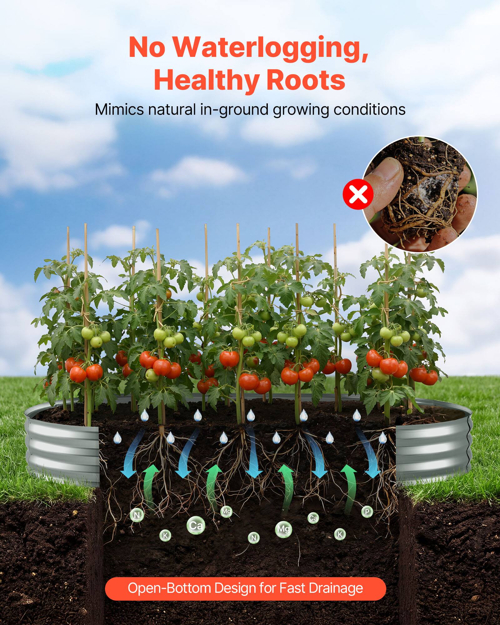 No Waterlogging, Healthy Roots  
Mimics natural in-ground growing conditions  

Open-Bottom Design for Fast Drainage