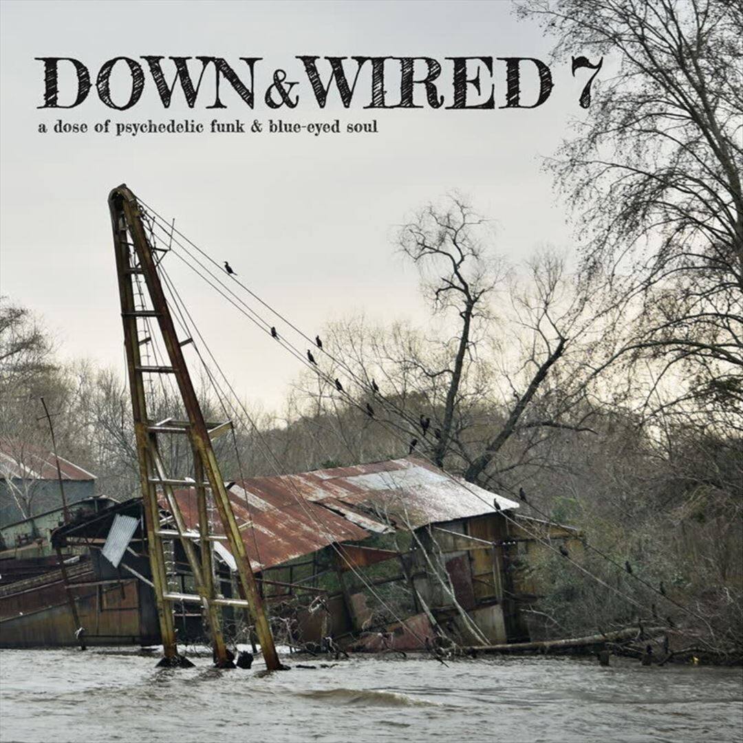 Down & Wired, Vol. 7 [LP] [VINYL] price history on PriceWatchPro