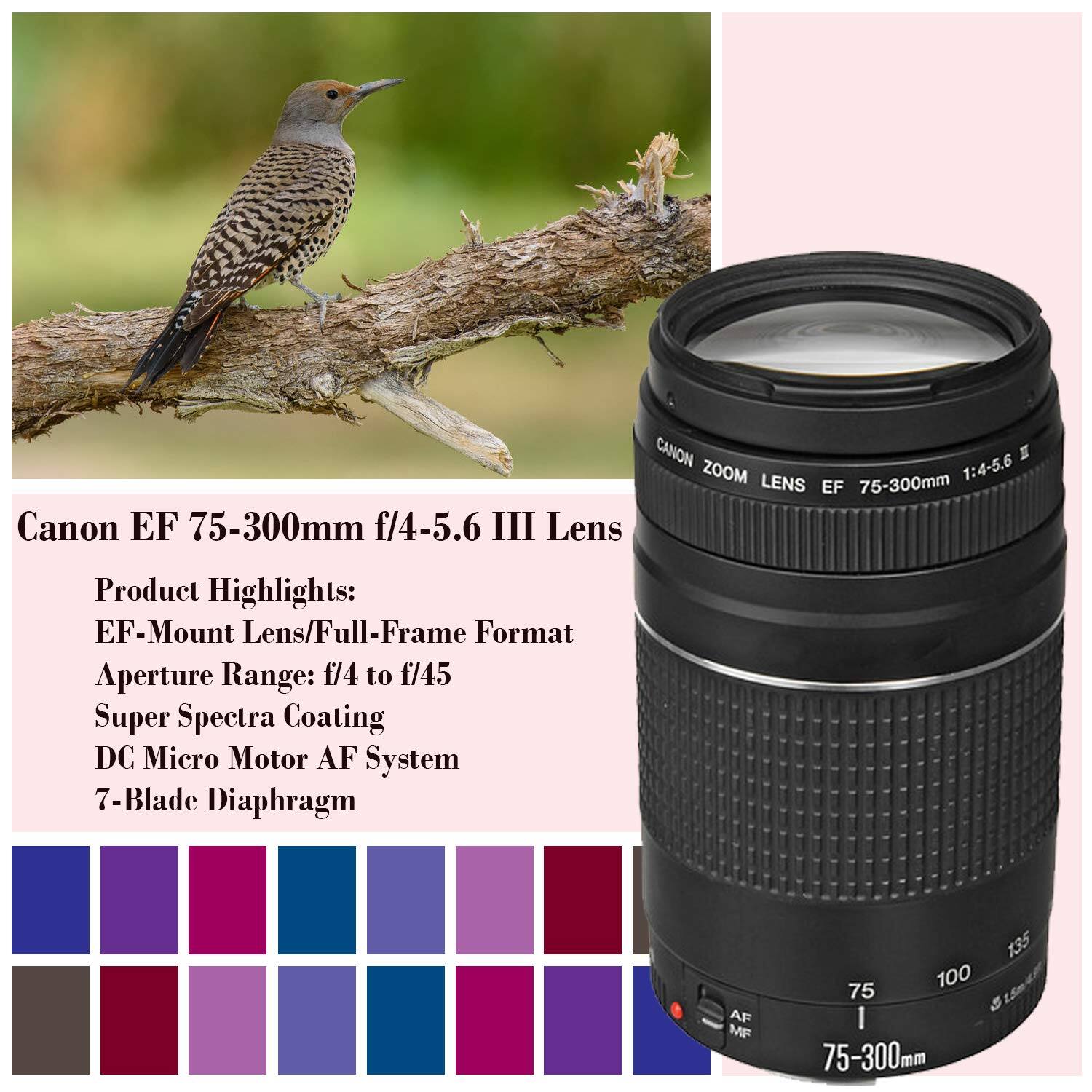 CANON 1:4-5.6 I ZOOM LENS 75-300mm EF Canon EF 75-300mm f/4-5.6 III Lens

Product Highlights:
EF-Mount Lens/Full-Frame Format
Aperture Range: f/4 to f/45
Super Spectra Coating
DC Micro Motor AF System
7-Blade Diaphragm

AF MF

75-300mm

135