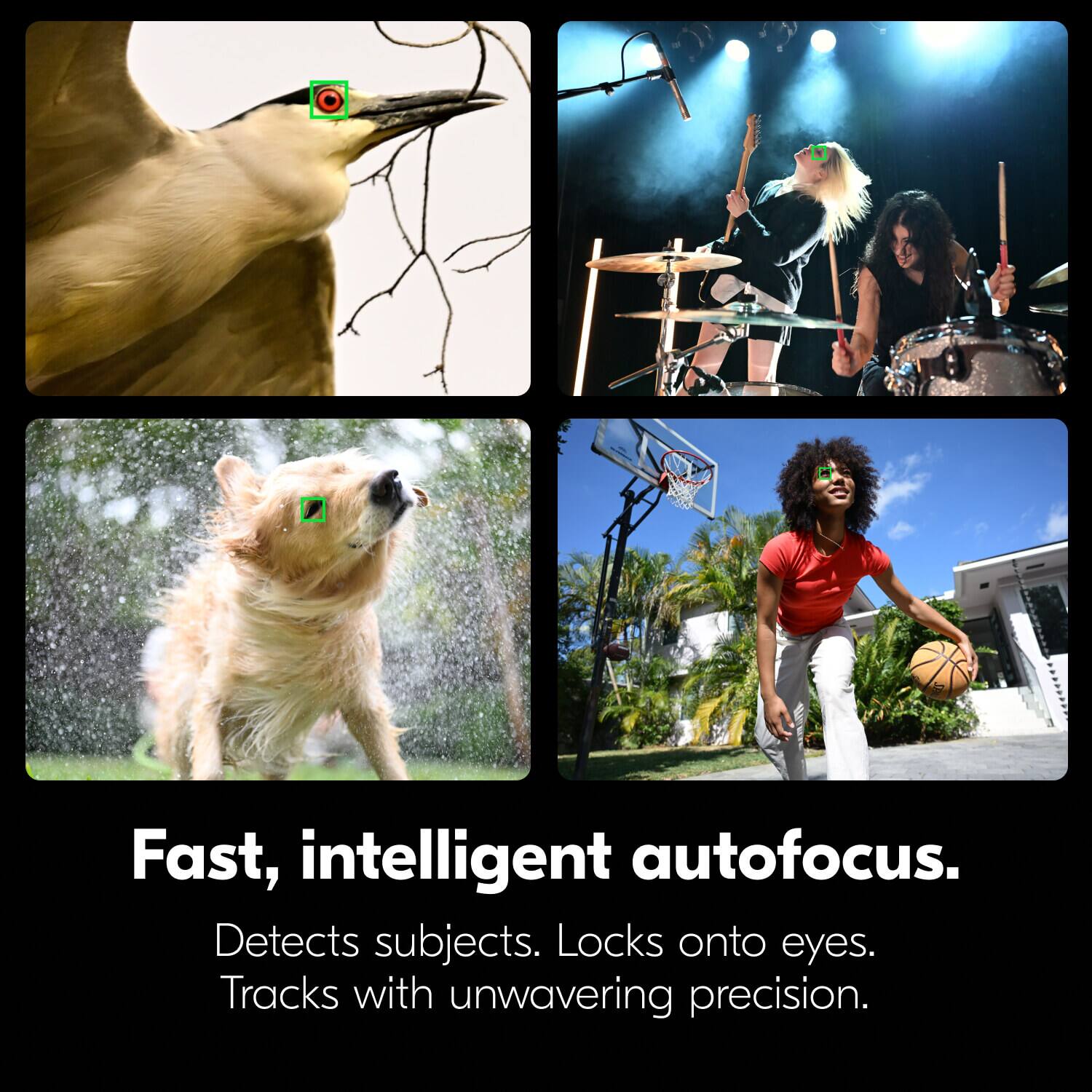 Fast, intelligent autofocus. Detects subjects. Locks onto eyes. Tracks with unwavering precision.