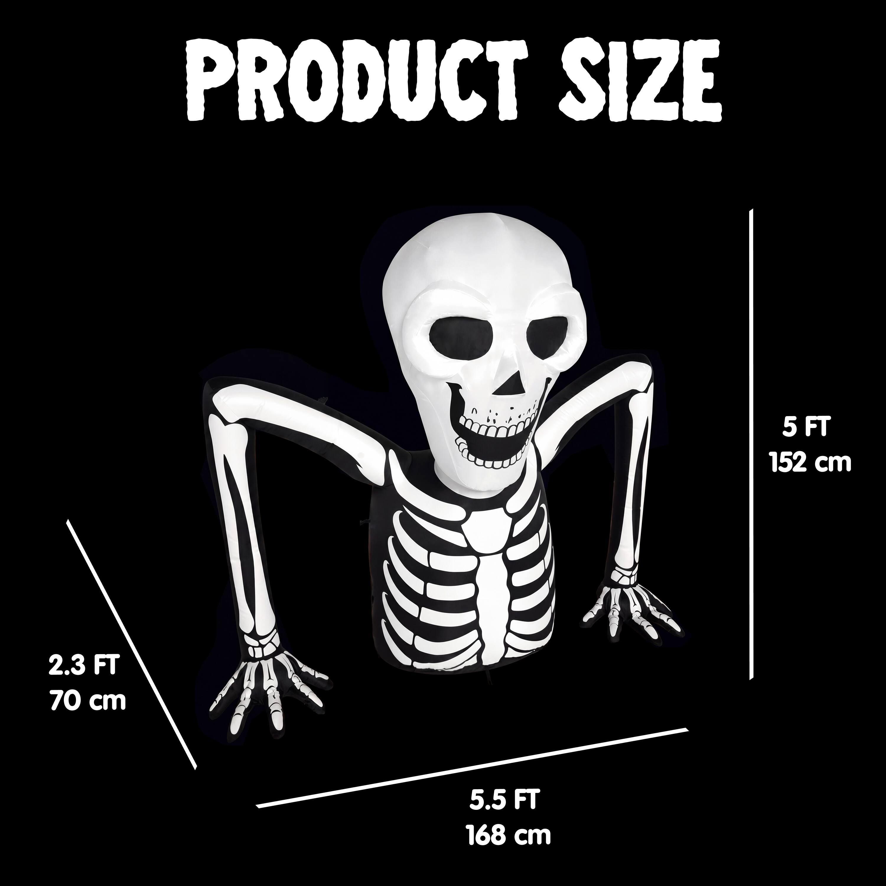 PRODUCT SIZE

5 FT 152 cm

2.3 FT 70 cm

5.5 FT 168 cm