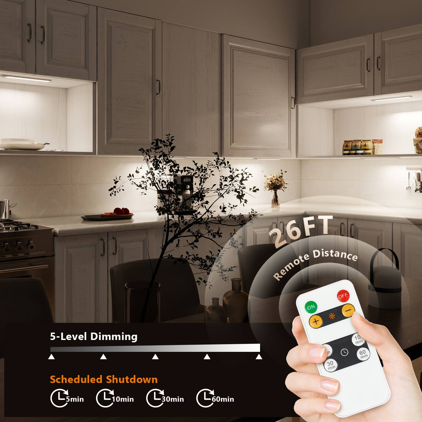 5-Level Dimming  
Scheduled Shutdown  
Lsmin Smin L 10min L30min L60min  
26FT Distance  
Remote OFF ON + 10 min P 60 min 30