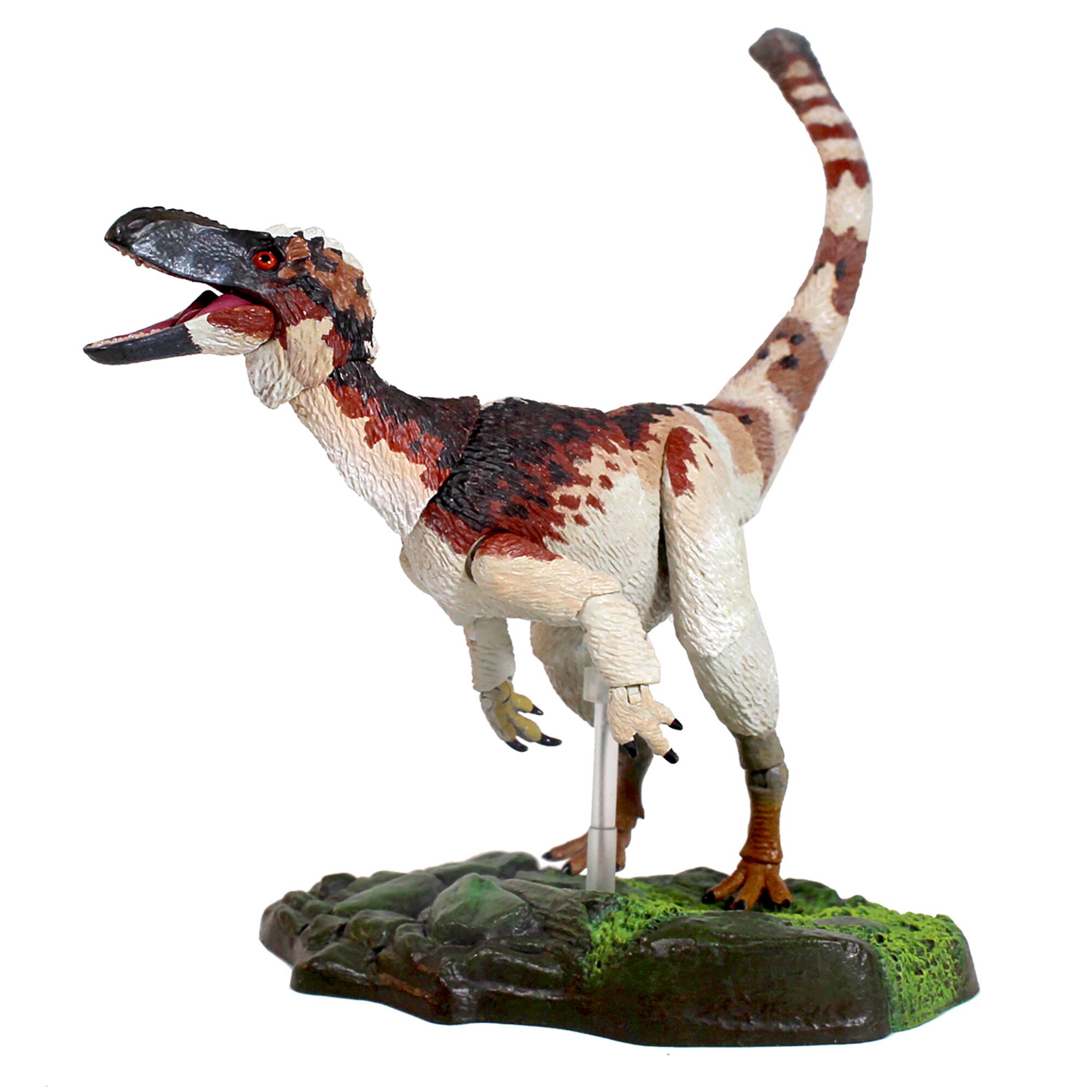 Beasts of the Mesozoic: Suskityrannus Hazelae