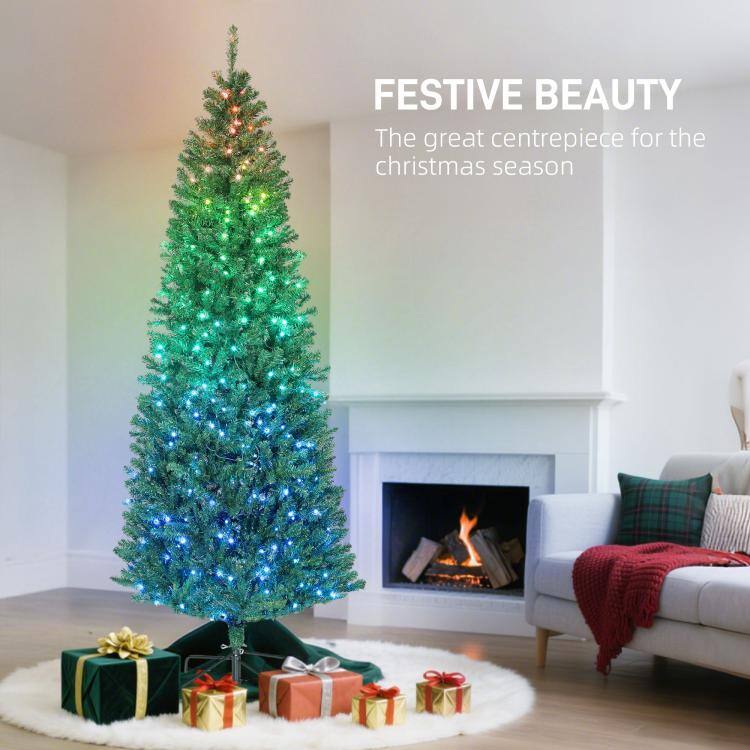 FESTIVE BEAUTY  
The great centrepiece for the christmas season