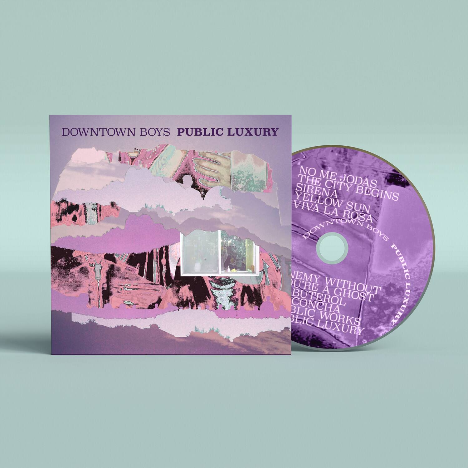 Downtown Boys - Public Luxury   - COMPACT DISCS [CD] price history on PriceWatchPro