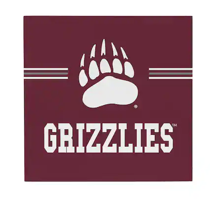 Front. Evergreen Enterprises - Montana Grizzlies 12" x 12" Wood Wall Sign - Multicolor.