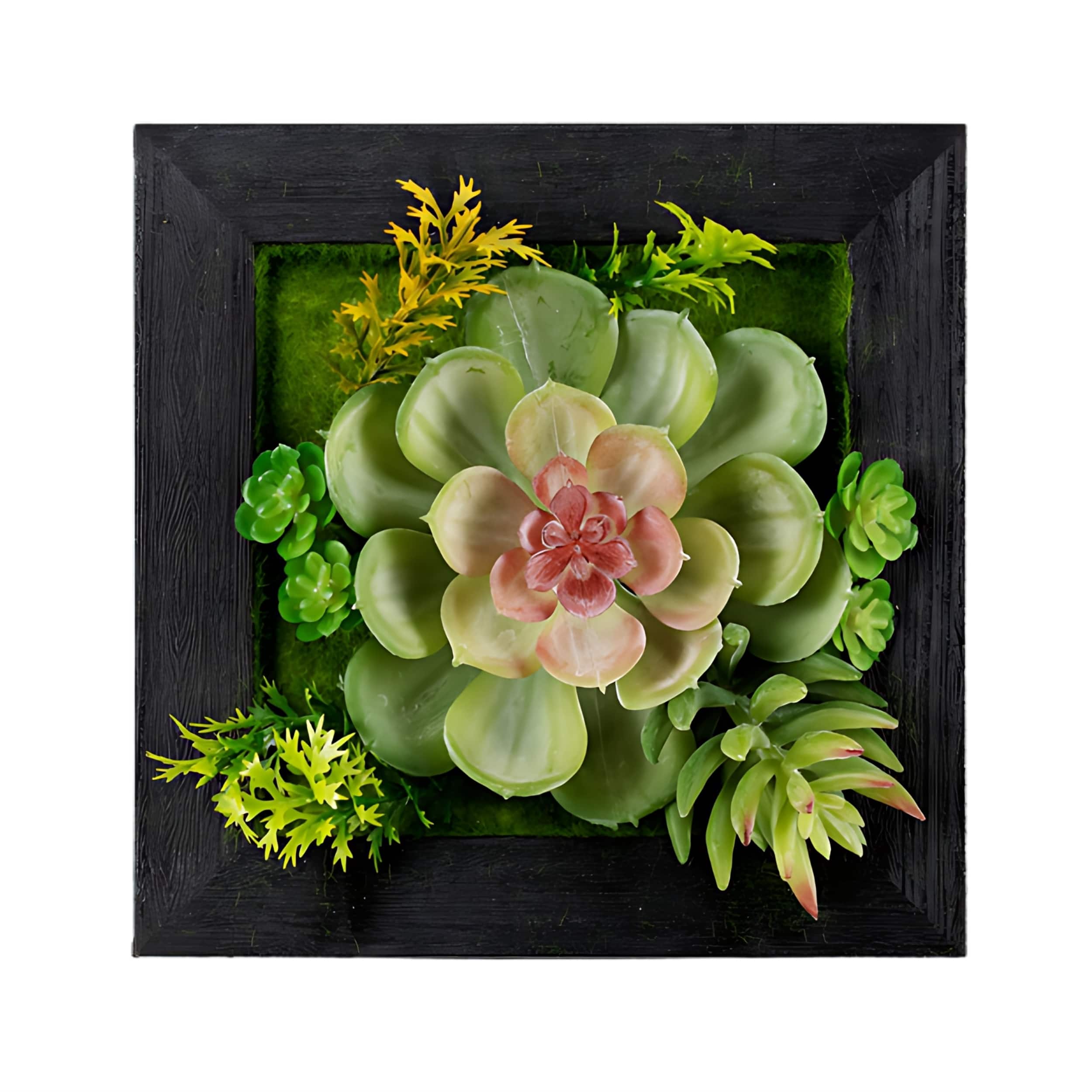 BreeBe - Hanging Succulent Box Wall Decor (Set of 6) - Green, Black