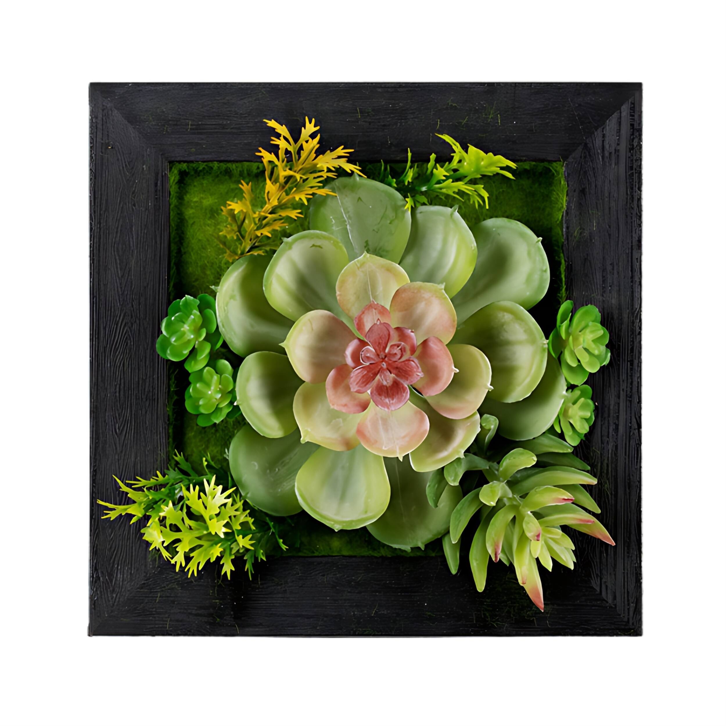 Front. BreeBe - Hanging Succulent Box Wall Decor (Set of 6) - Green, Black.